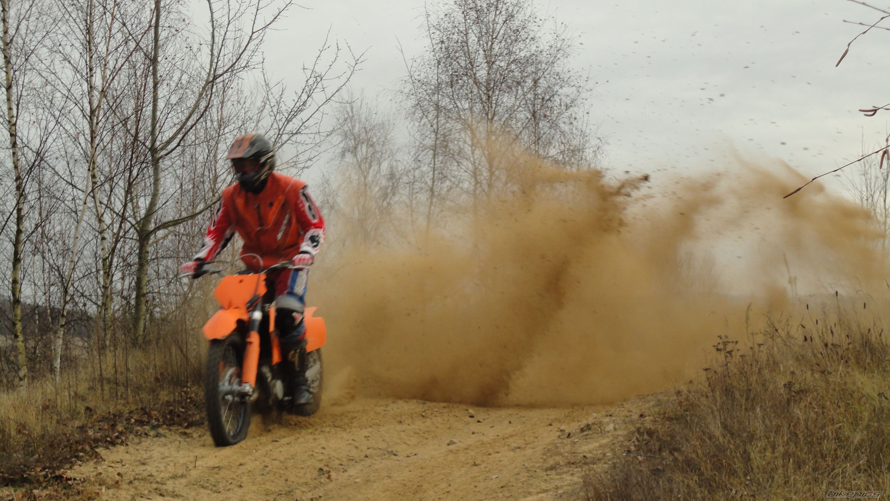 2006 KTM 125 SX | Picture 2308967 motorcycle photo