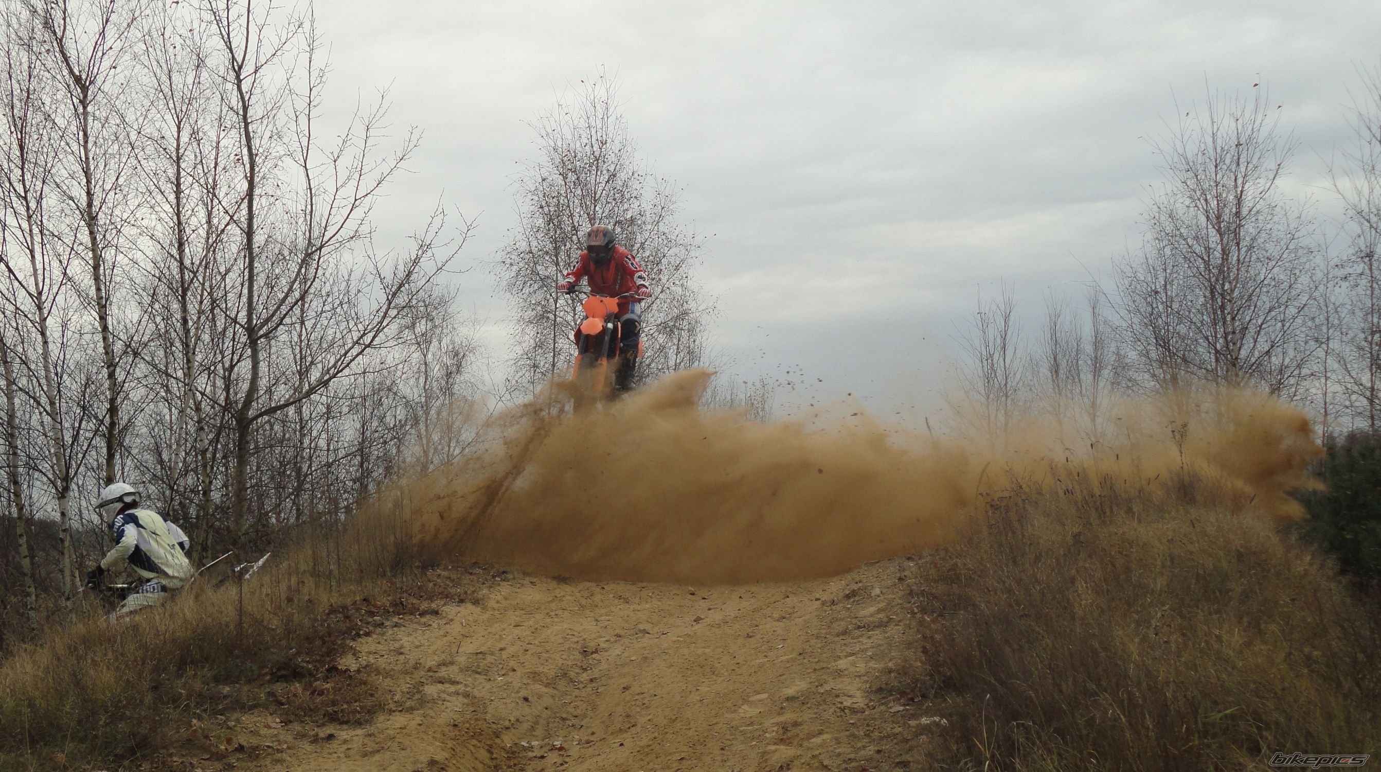 2006 KTM 125 SX | Picture 2308975 motorcycle photo