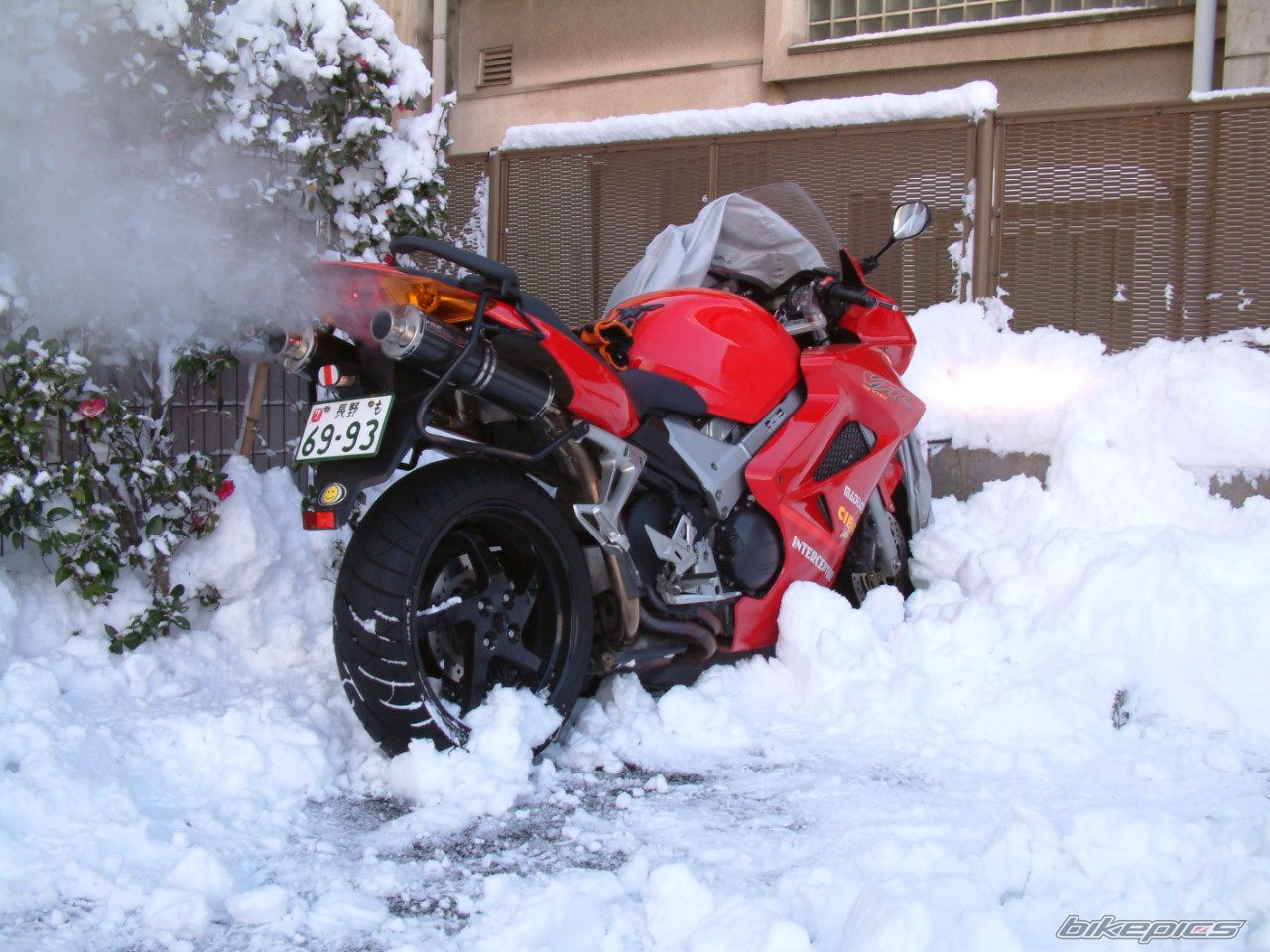 2002 HONDA VFR 800 VTEC | Picture 2309372 motorcycle photo