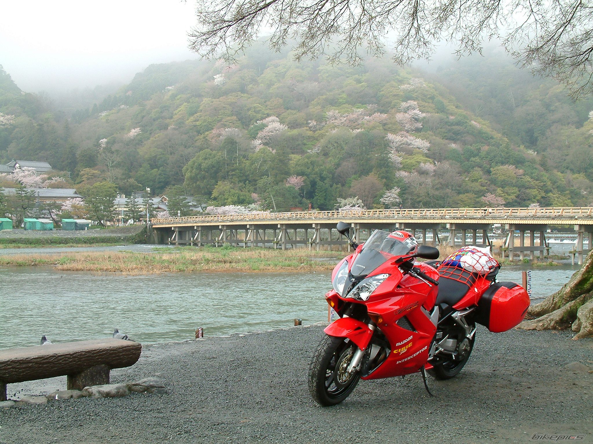 2002 HONDA VFR 800 VTEC | Picture 2309379 motorcycle photo