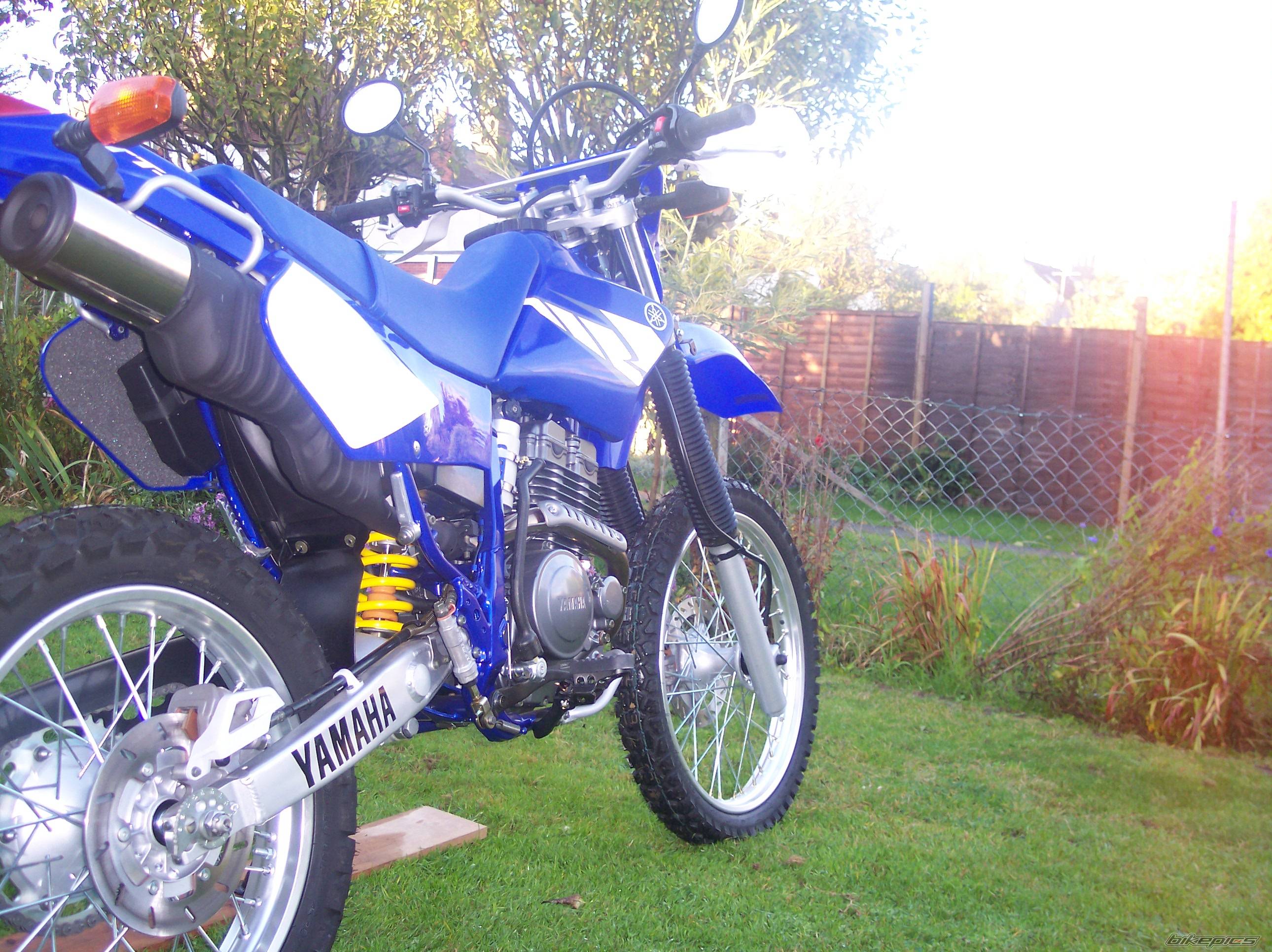 2004 YAMAHA TTR 250 | Picture 230943 motorcycle photo