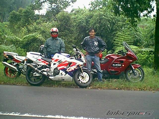 1993 HONDA CBR 900 | Picture 23096 motorcycle photo