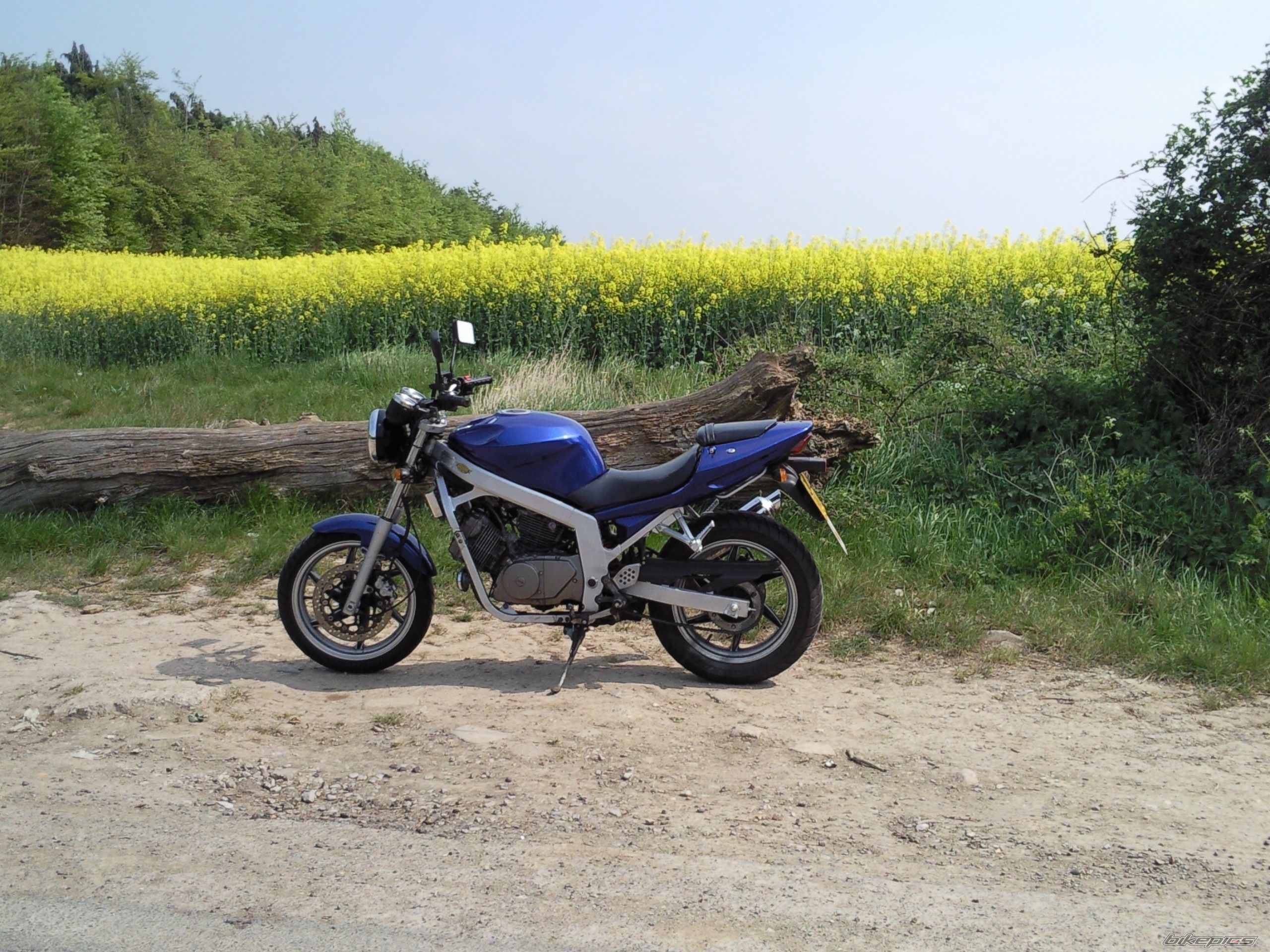 2005 HYOSUNG GT 125 COMET | Picture 2309778 motorcycle photo