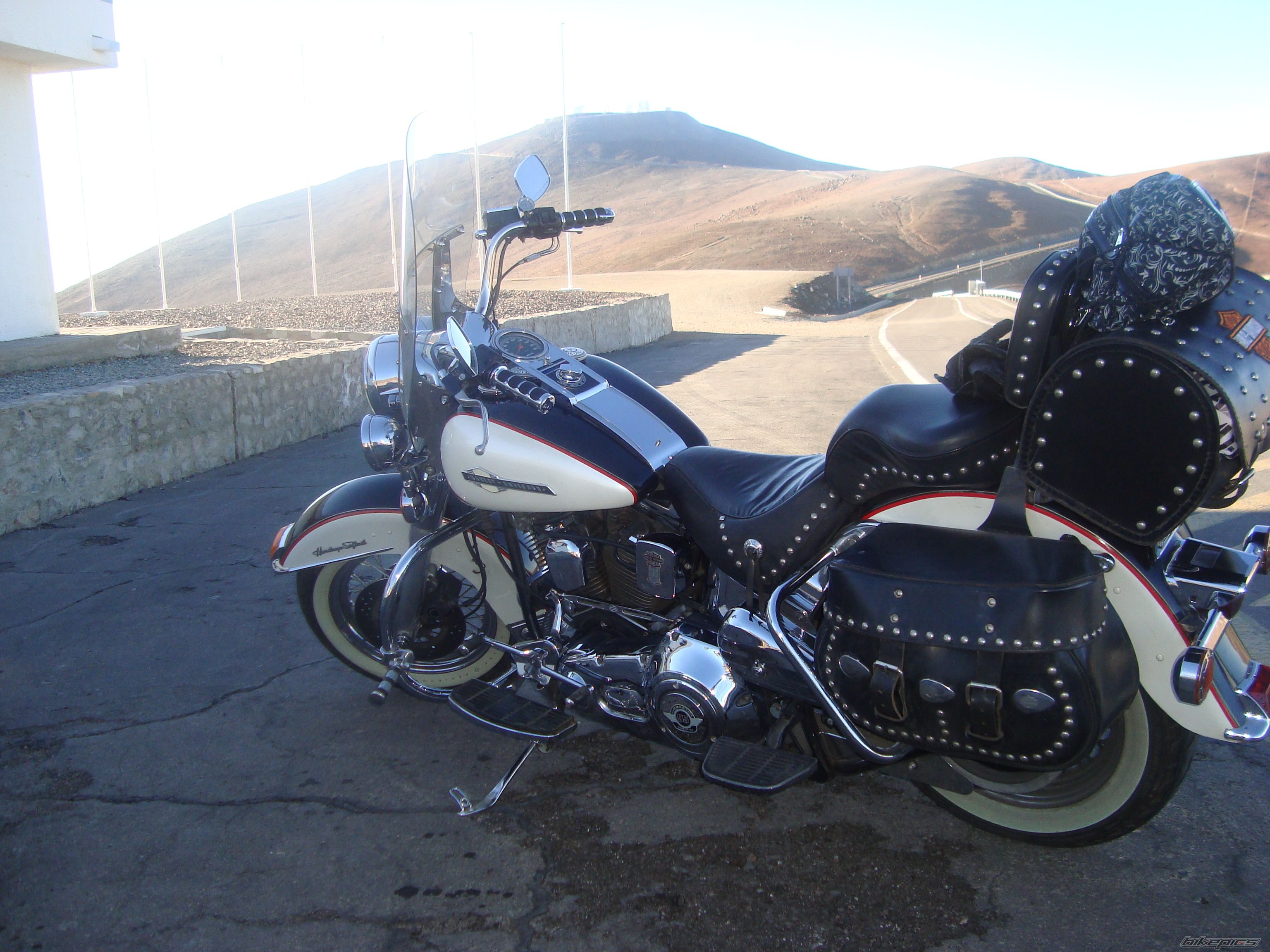 1994 HARLEY DAVIDSON FLSTC | Picture 2310151 motorcycle photo