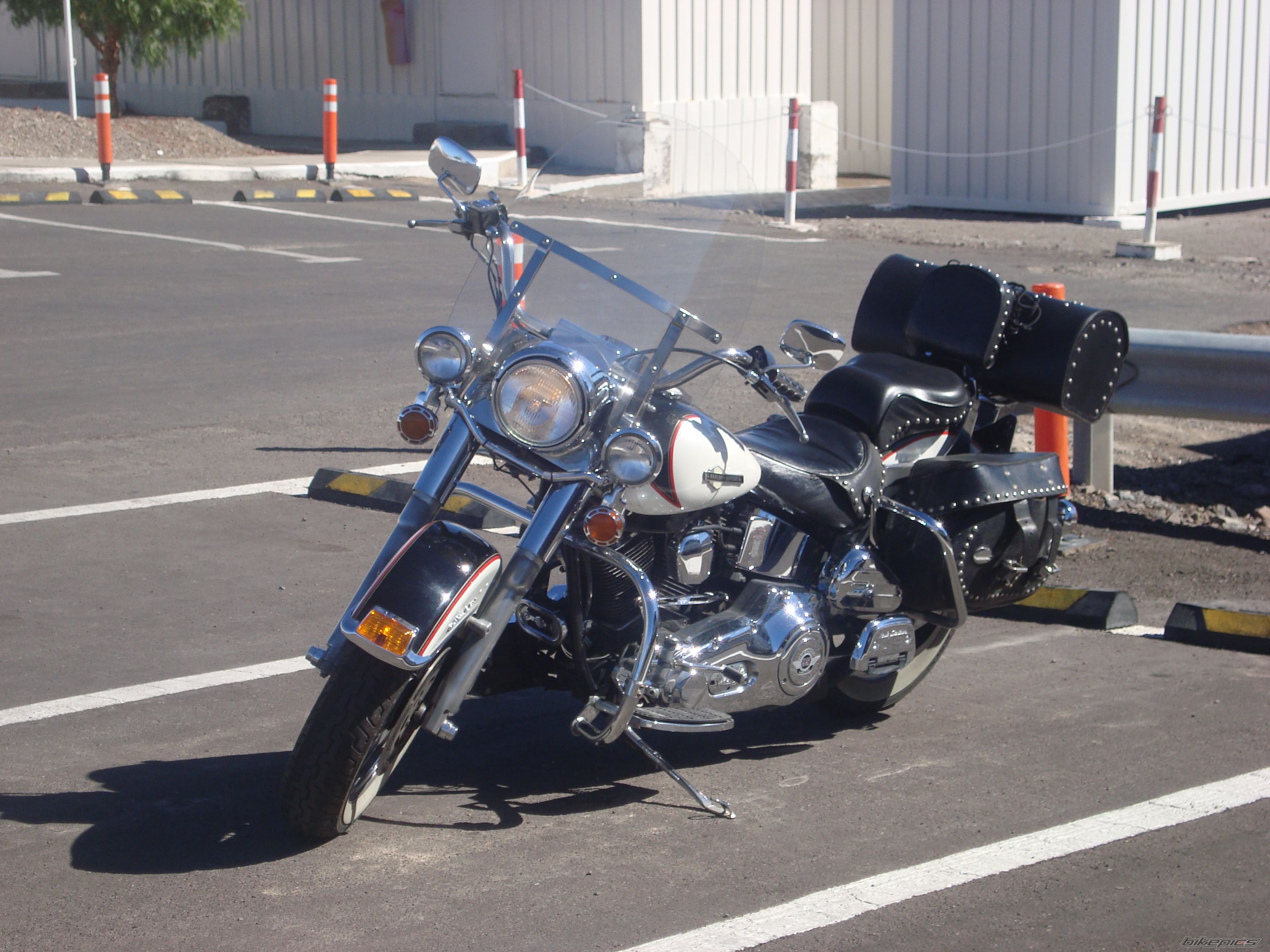 1994 HARLEY DAVIDSON FLSTC | Picture 2310152 motorcycle photo