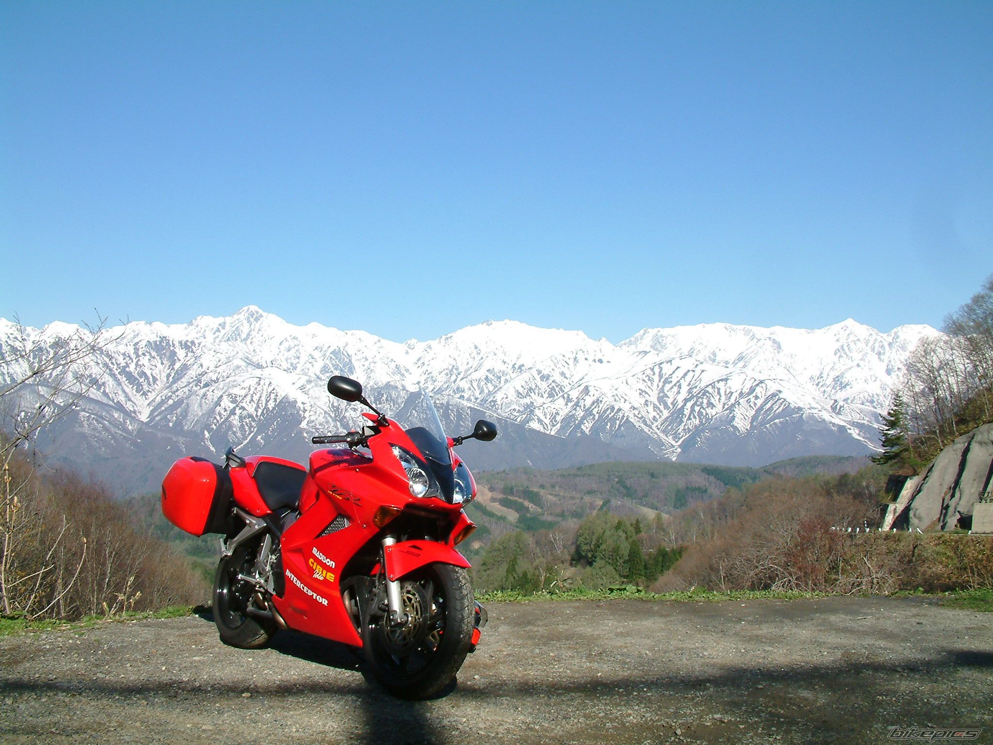 2002 HONDA VFR 800 VTEC | Picture 2310826 motorcycle photo