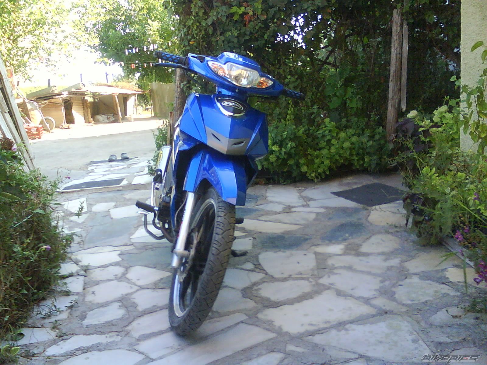 2010 DAYTONA SPRINTER | Picture 2311267 motorcycle photo