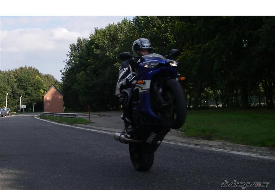2004 YAMAHA YZF R6 | Picture 2311569 motorcycle photo