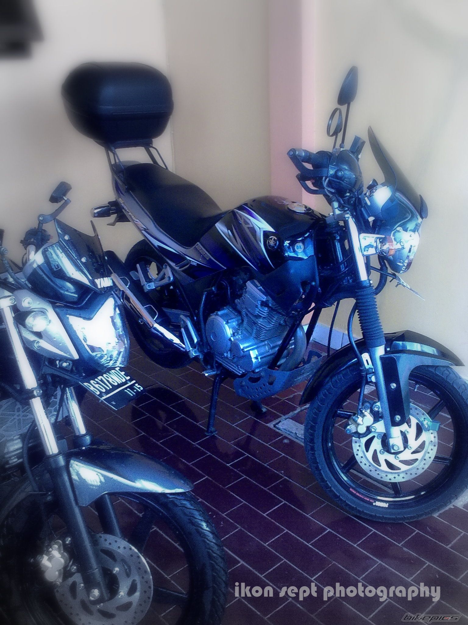 2008 YAMAHA YAMAHA SCORPIO 225 CC | Picture 2311576 motorcycle photo