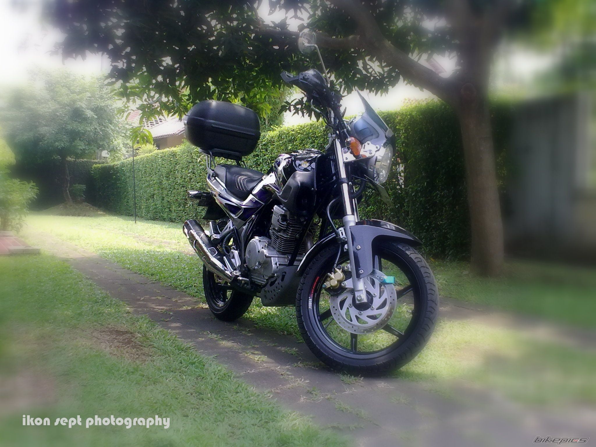 2008 YAMAHA YAMAHA SCORPIO 225 CC | Picture 2311577 motorcycle photo