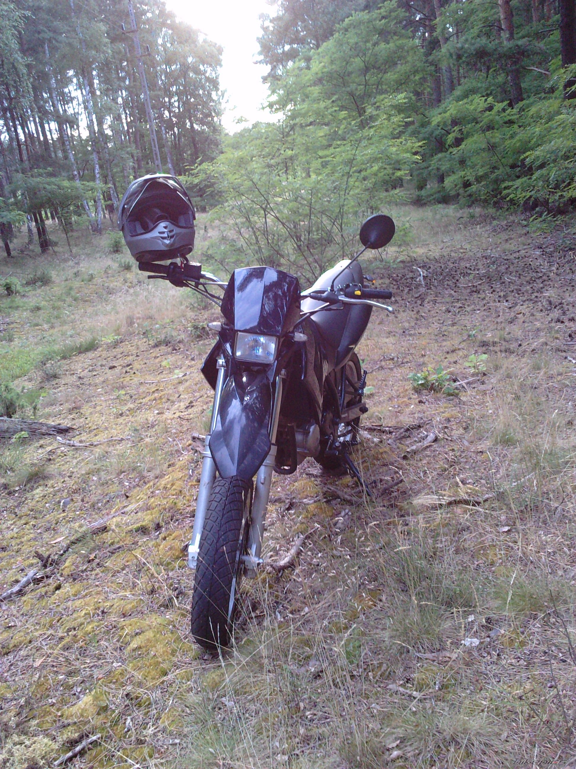 2004 MZ 125SM | Picture 2311720 motorcycle photo