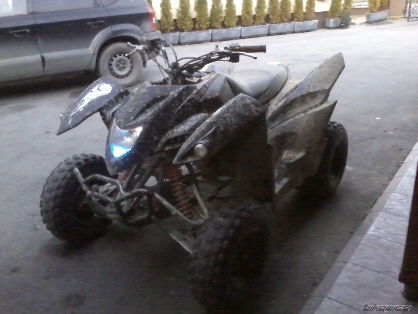 2008 ADLY MOTO 2010 | Picture 2311804 motorcycle photo