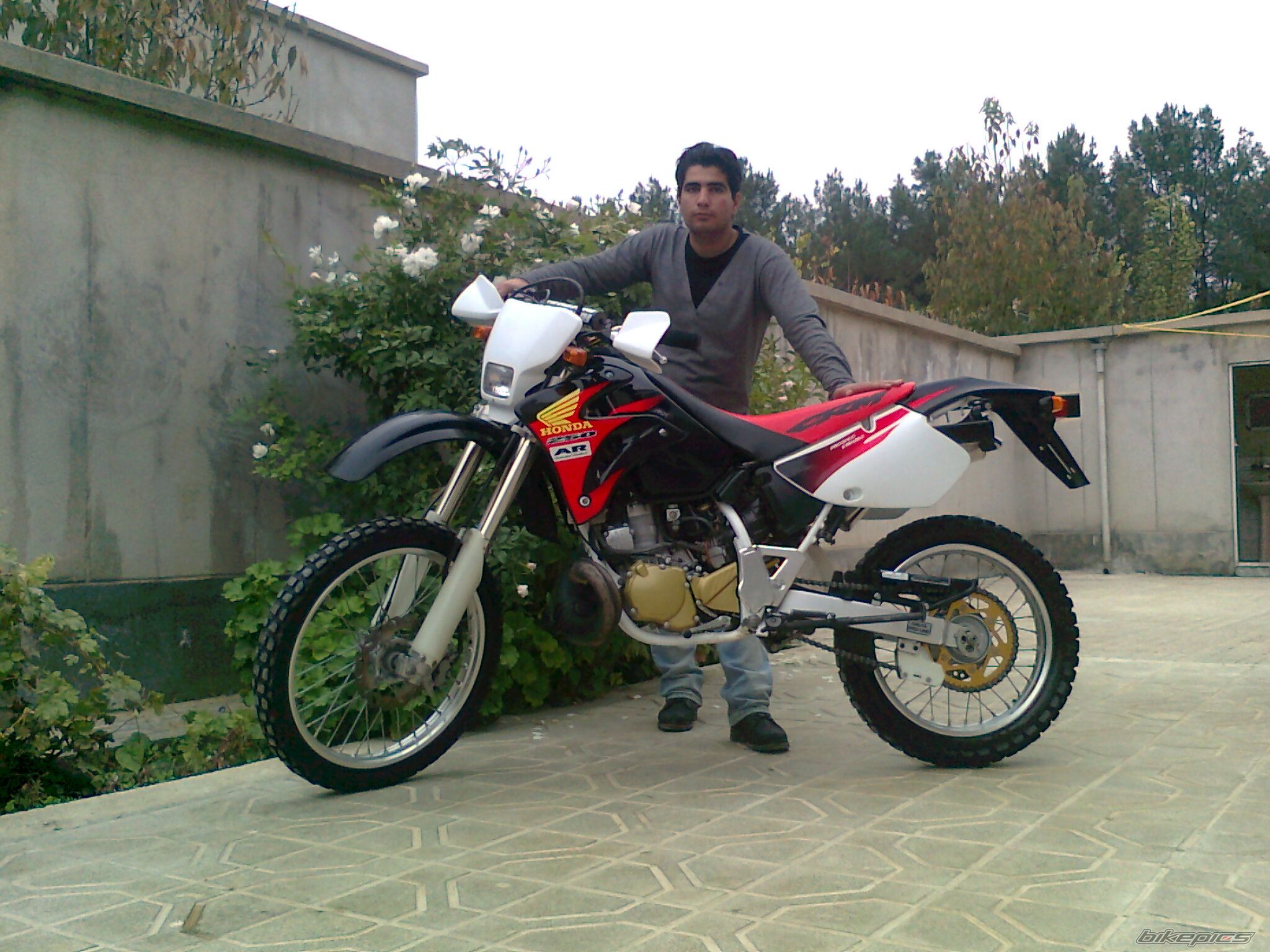 2012 HONDA CRM 250 | Picture 2313153 motorcycle photo