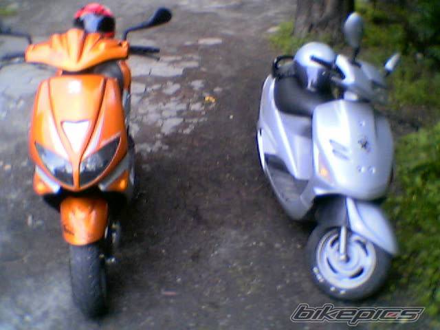 1996 KYMCO CURIO CX 50 | Picture 231332 motorcycle photo