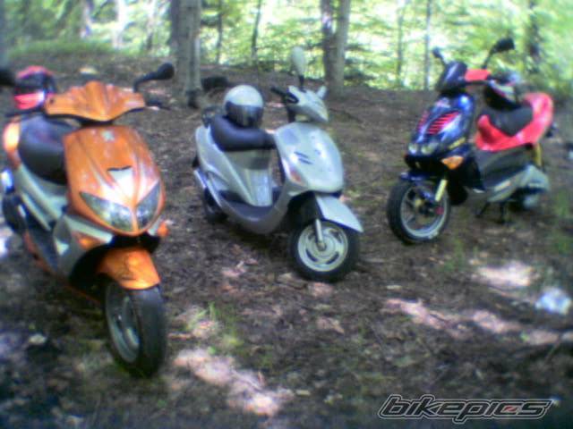 1996 KYMCO CURIO CX 50 | Picture 231333 motorcycle photo