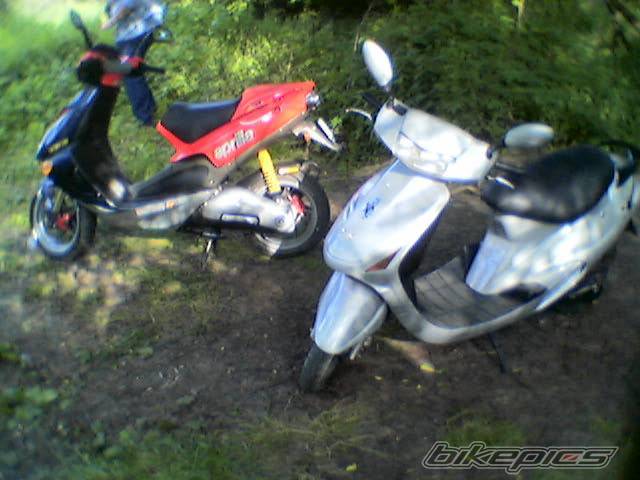 1996 KYMCO CURIO CX 50 | Picture 231337 motorcycle photo