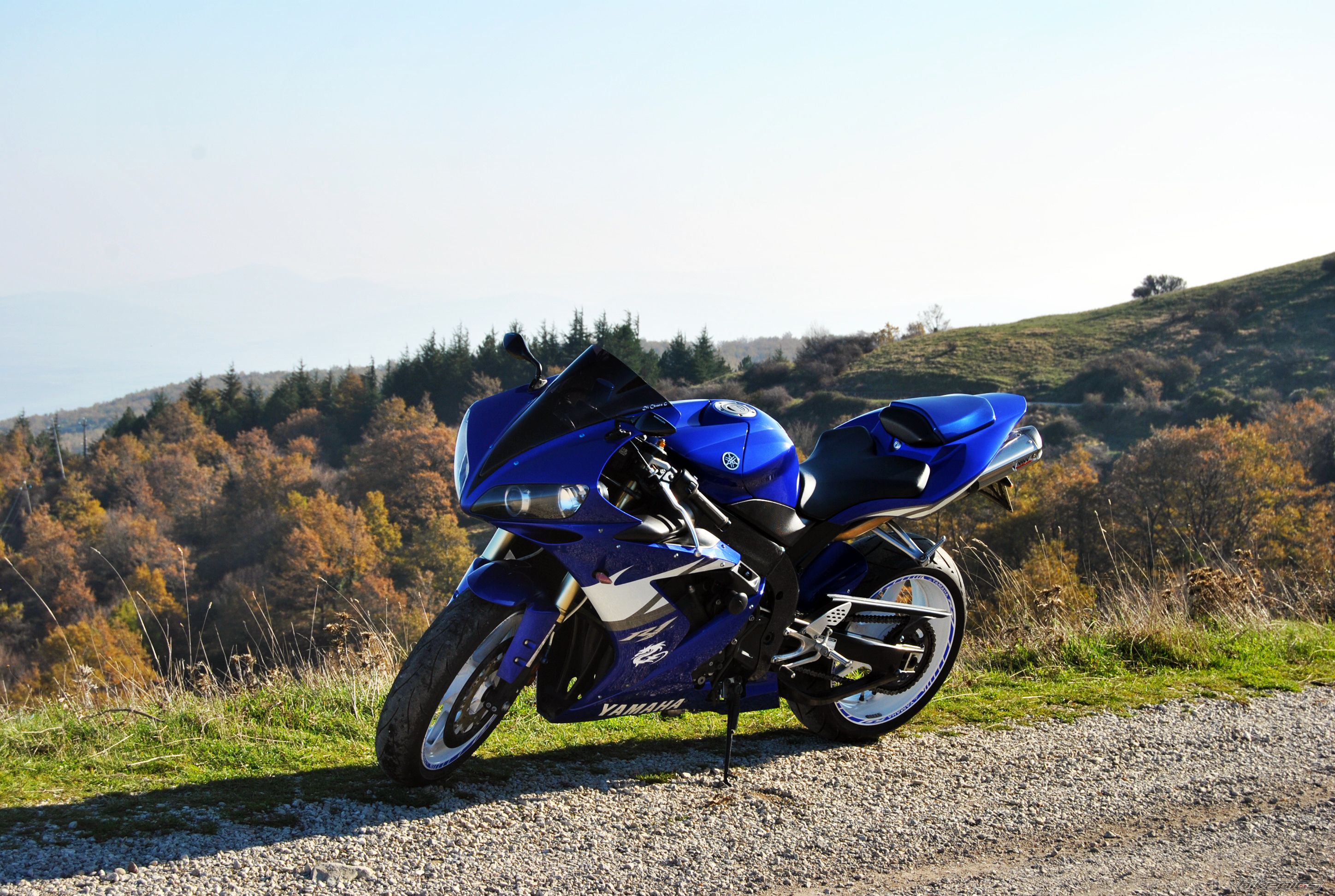 2005 YAMAHA YZF R1 | Picture 2313751 motorcycle photo