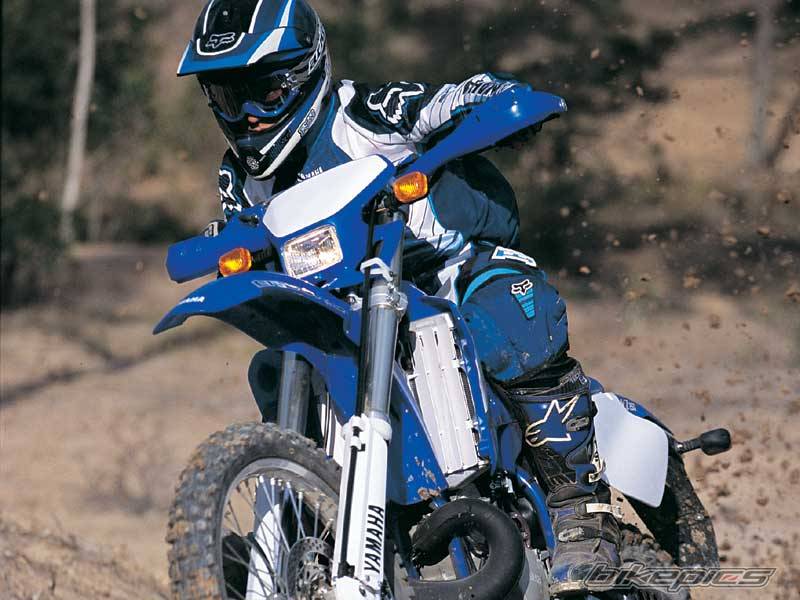2004 YAMAHA WR 250 | Picture 231400 motorcycle photo