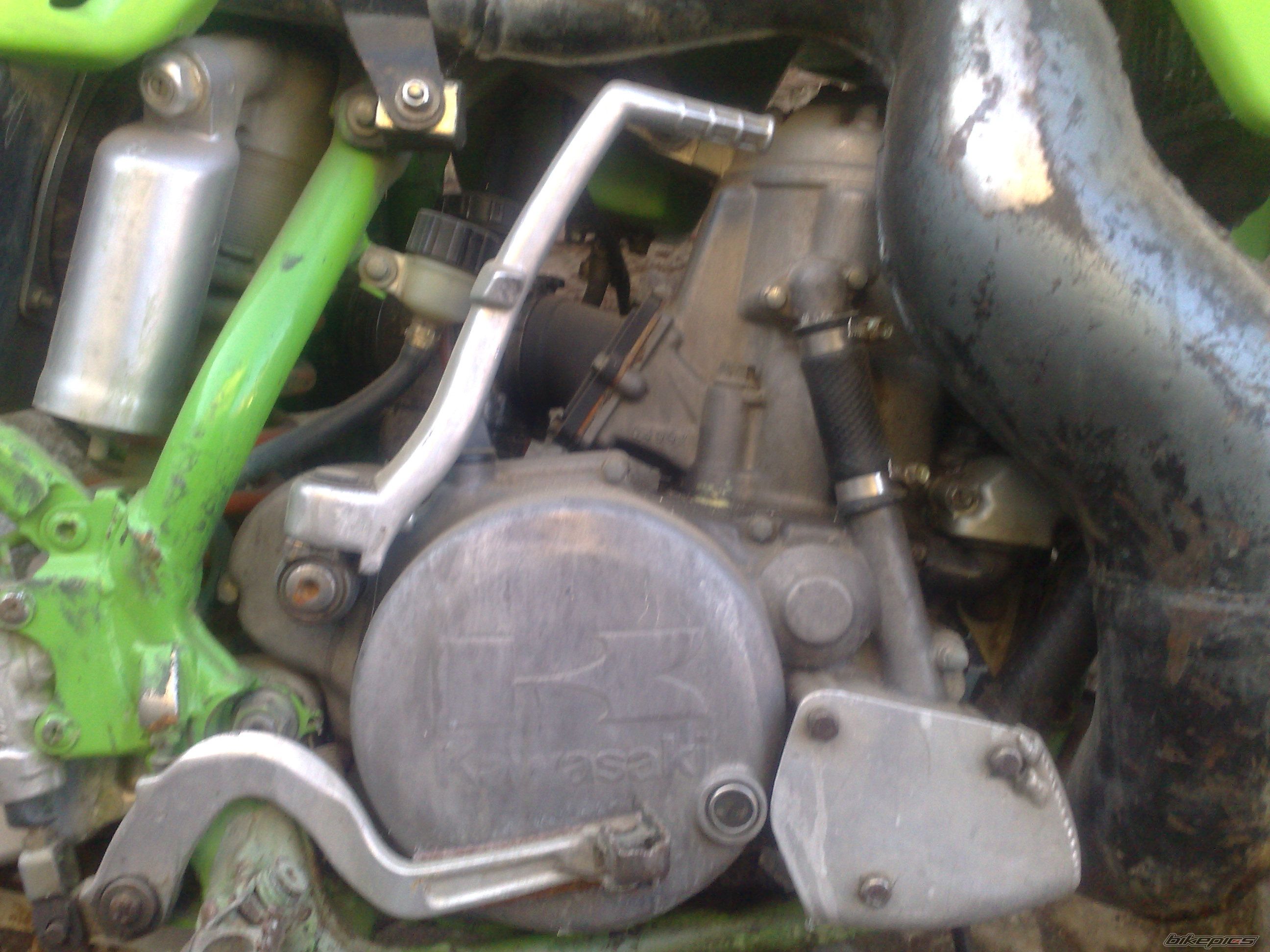 1993 KAWASAKI KX 500 | Picture 2314507 motorcycle photo