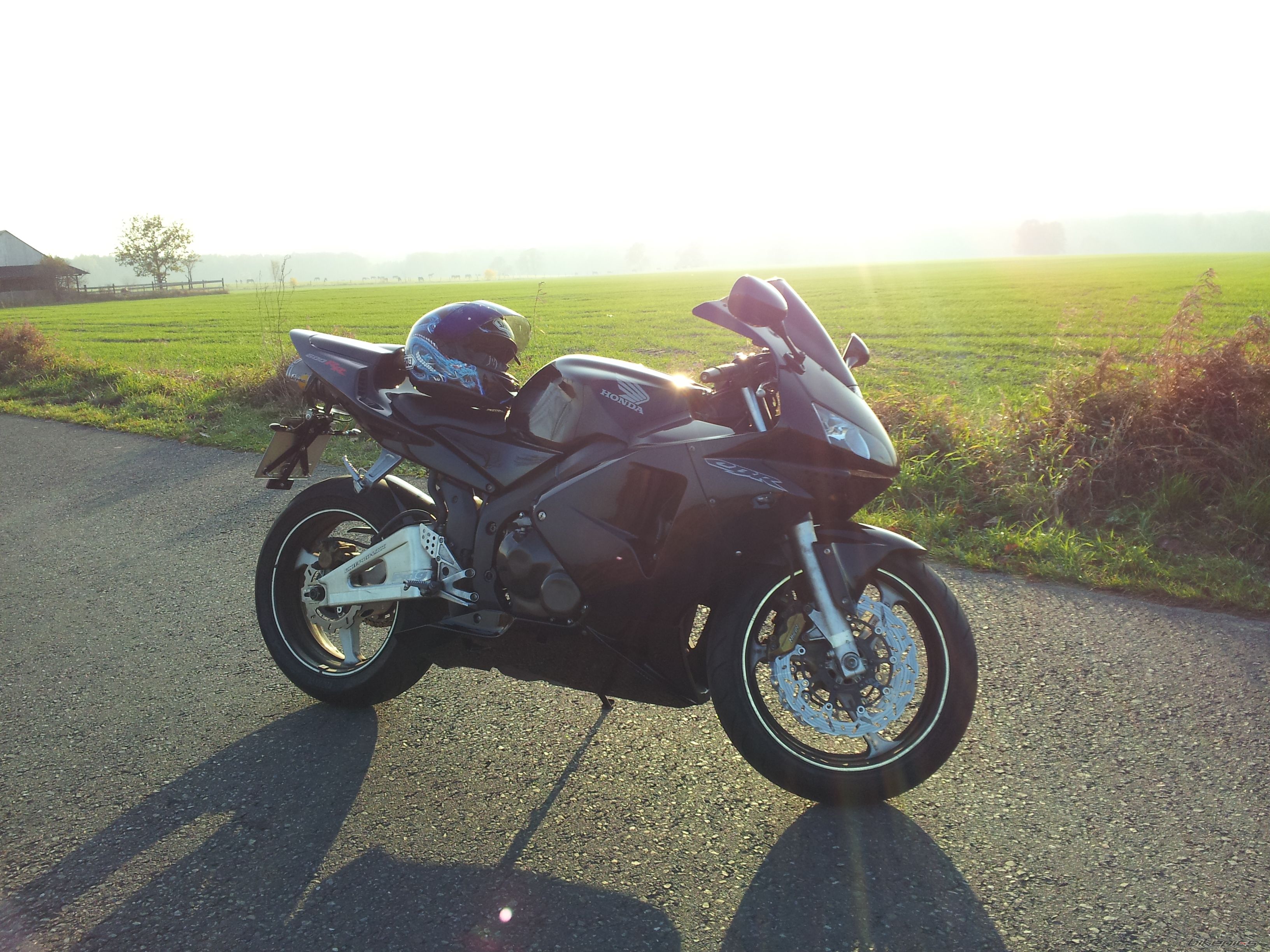 2003 HONDA CBR 600 RR | Picture 2314837 motorcycle photo