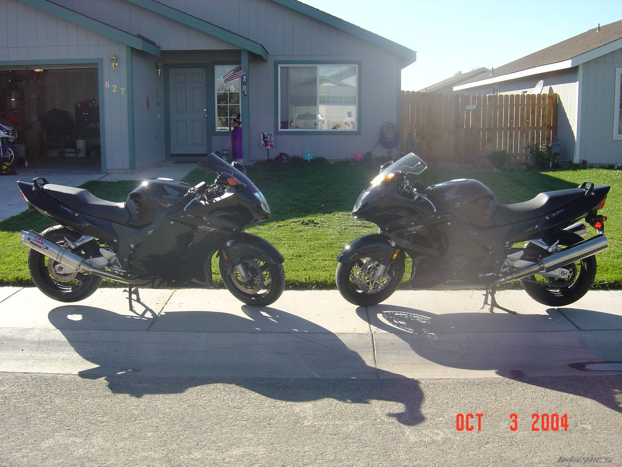 1998 HONDA CBR 1100 BLACKBIRD | Picture 231501 motorcycle photo