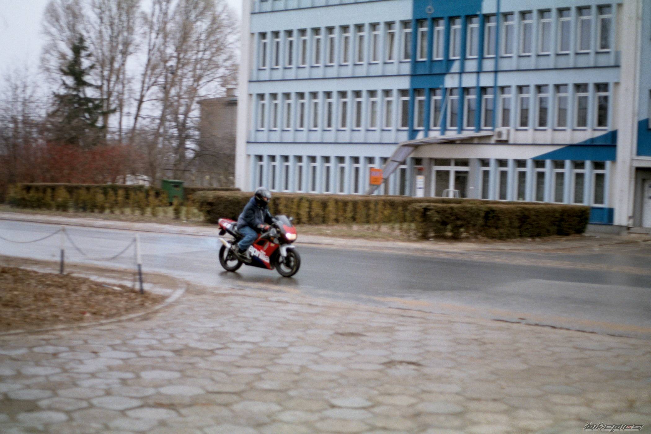 1993 APRILIA RS 50 | Picture 231504 motorcycle photo