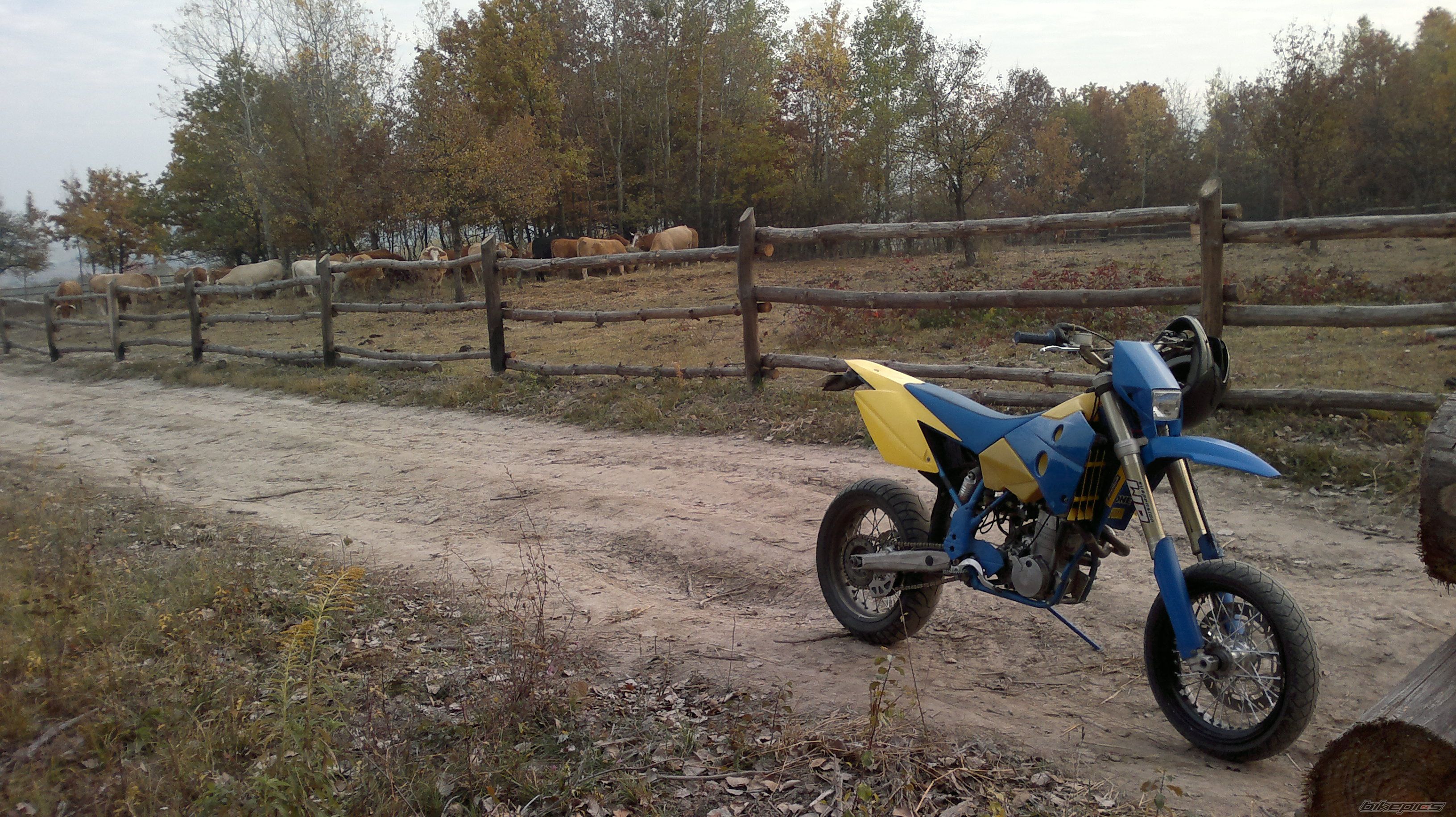2002 HUSABERG FE 450 E | Picture 2315048 motorcycle photo