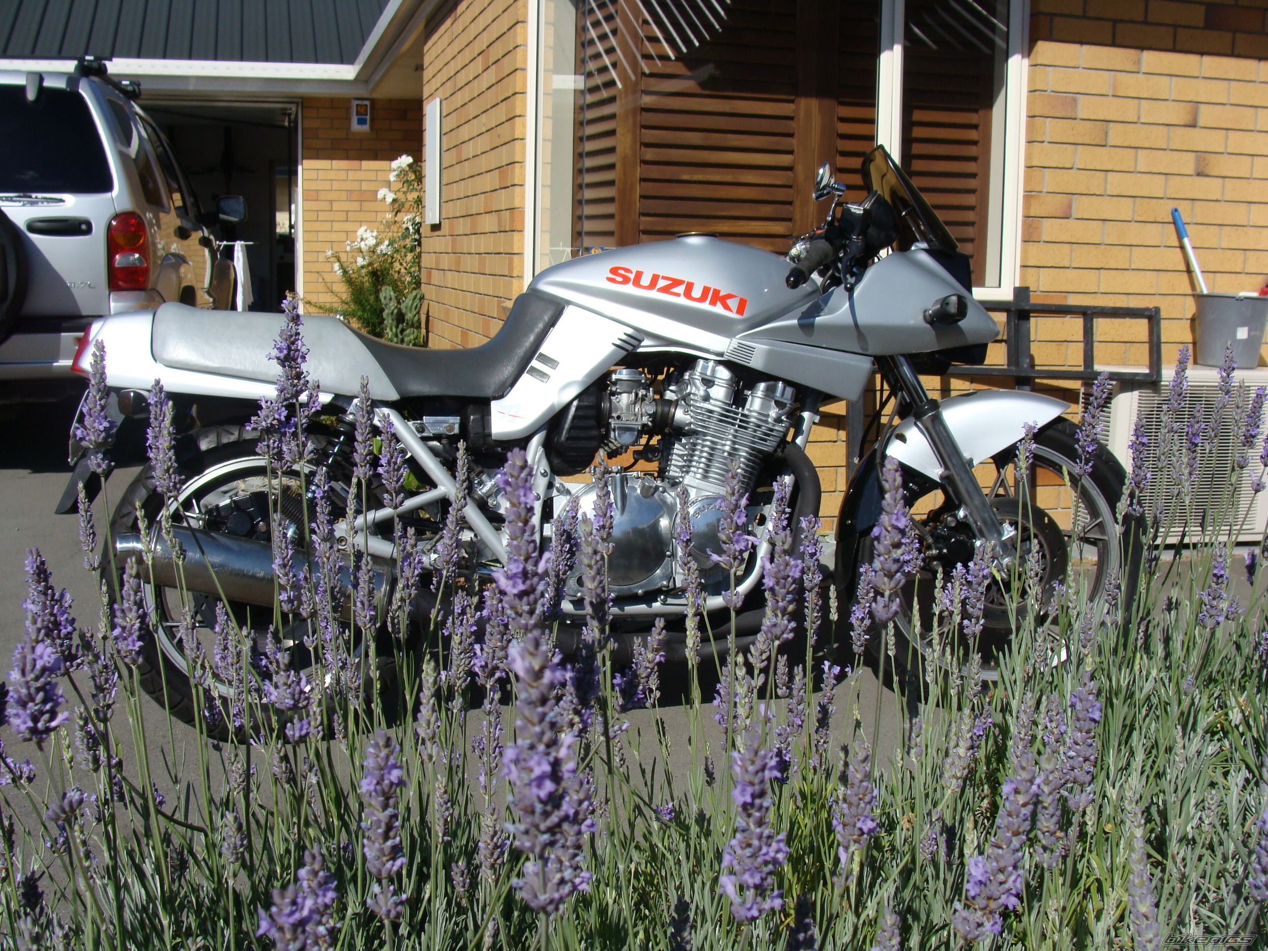 1981 SUZUKI GSX 1100 KATANA | Picture 2315057 motorcycle photo