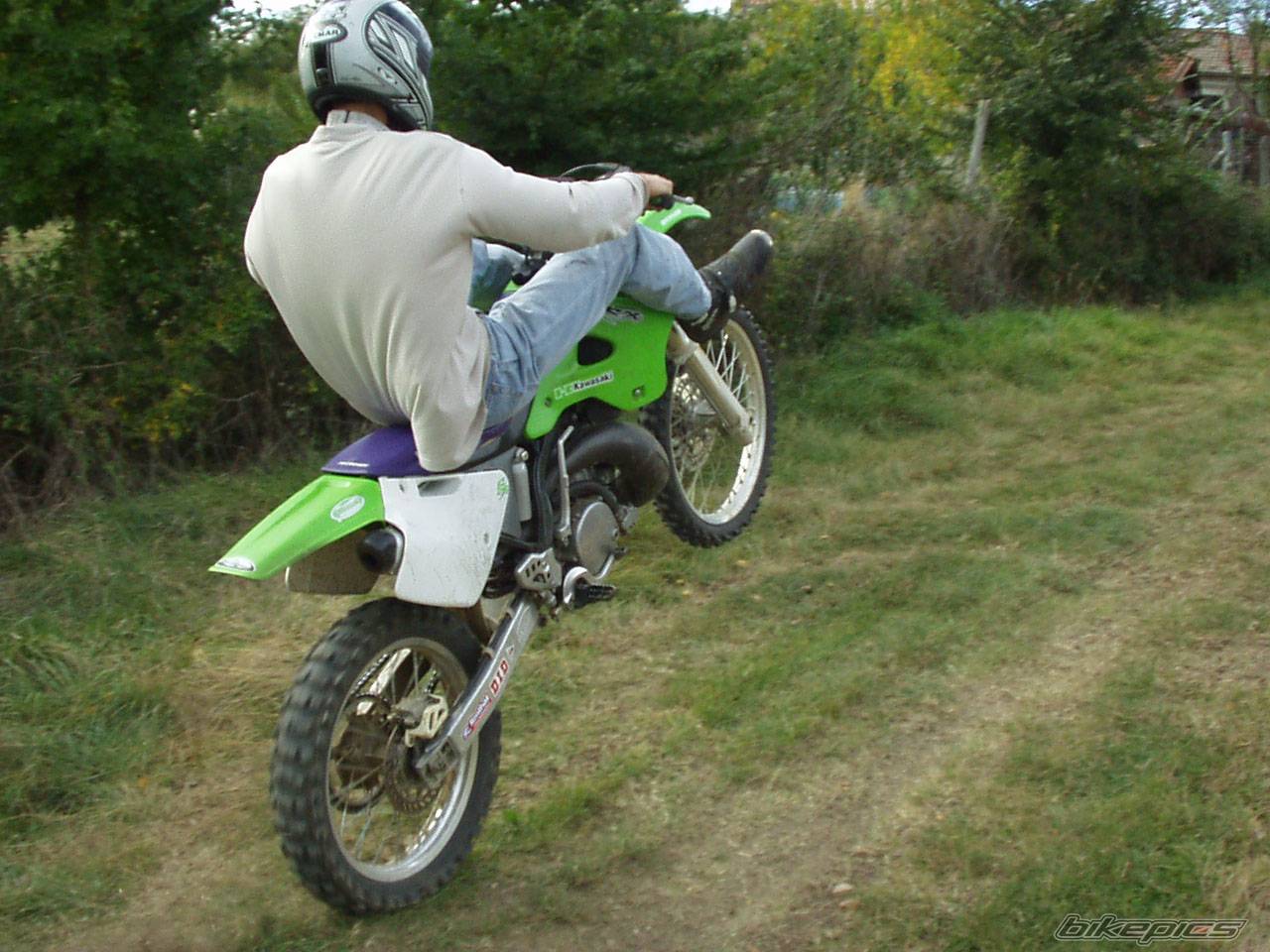 1997 KAWASAKI KX 250 | Picture 231548 motorcycle photo