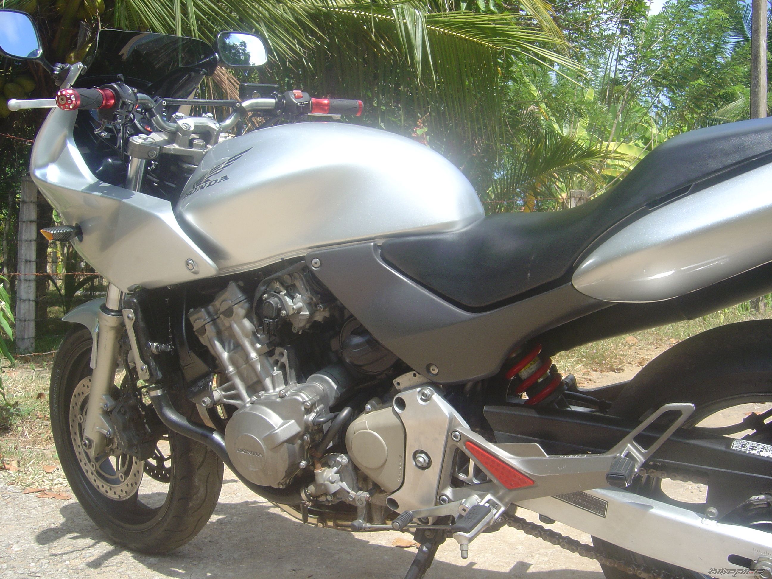 2003 HONDA CBF 600 | Picture 2316258 motorcycle photo