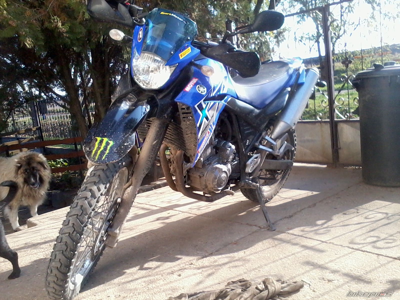 2009 YAMAHA XT 660 | Picture 2316454 motorcycle photo