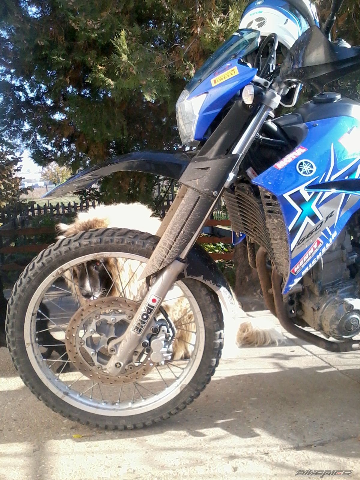 2009 YAMAHA XT 660 | Picture 2316463 motorcycle photo