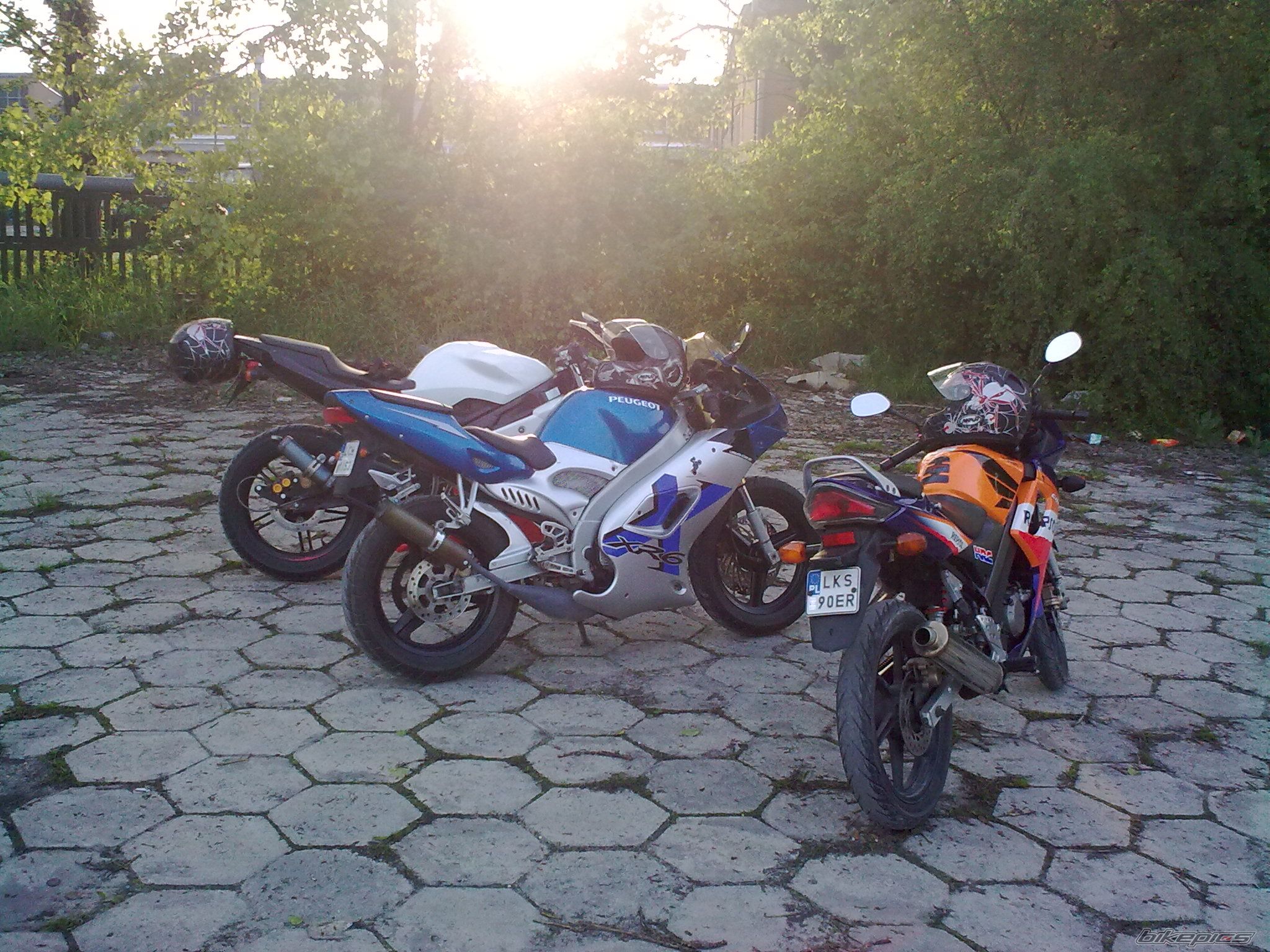 2005 PEUGEOT XR6 | Picture 2316508 motorcycle photo