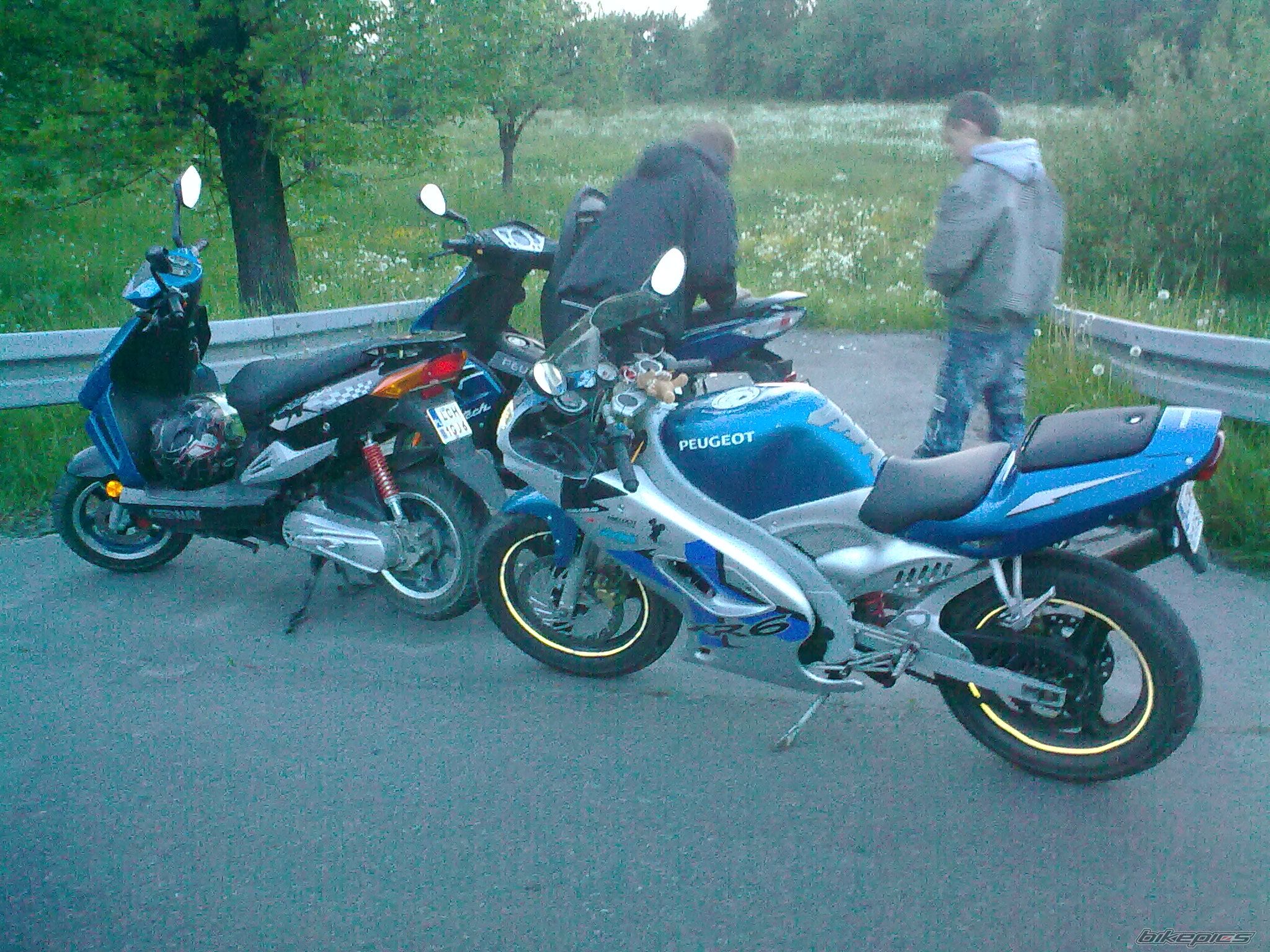 2005 PEUGEOT XR6 | Picture 2316517 motorcycle photo