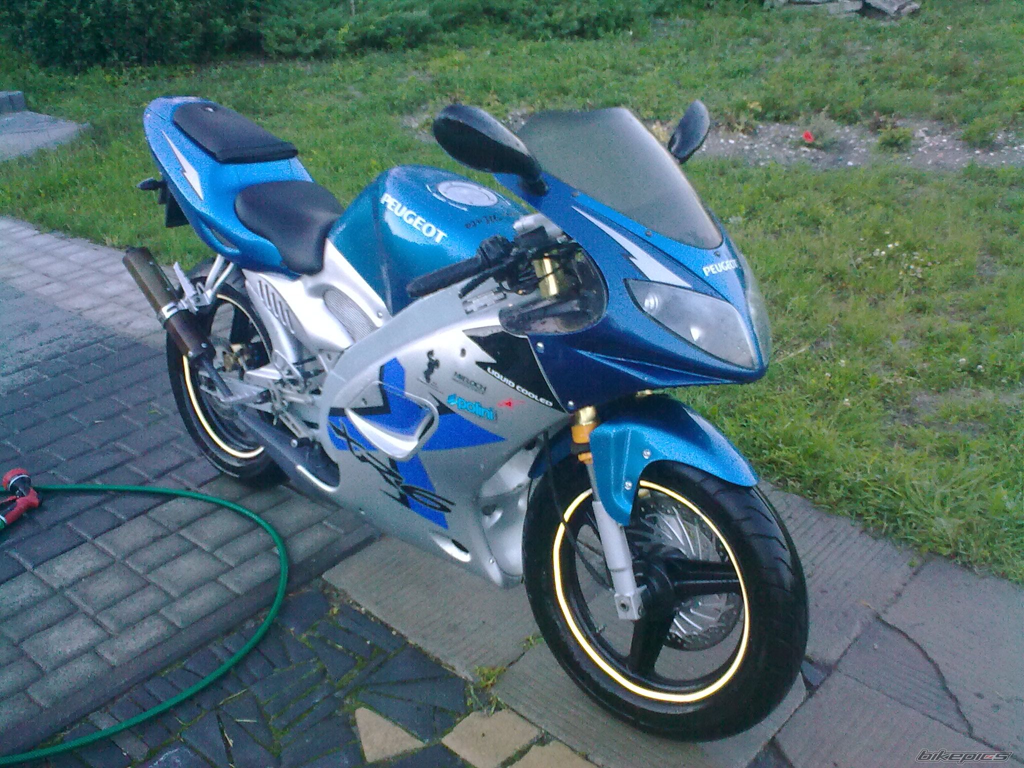 2005 PEUGEOT XR6 | Picture 2316527 motorcycle photo