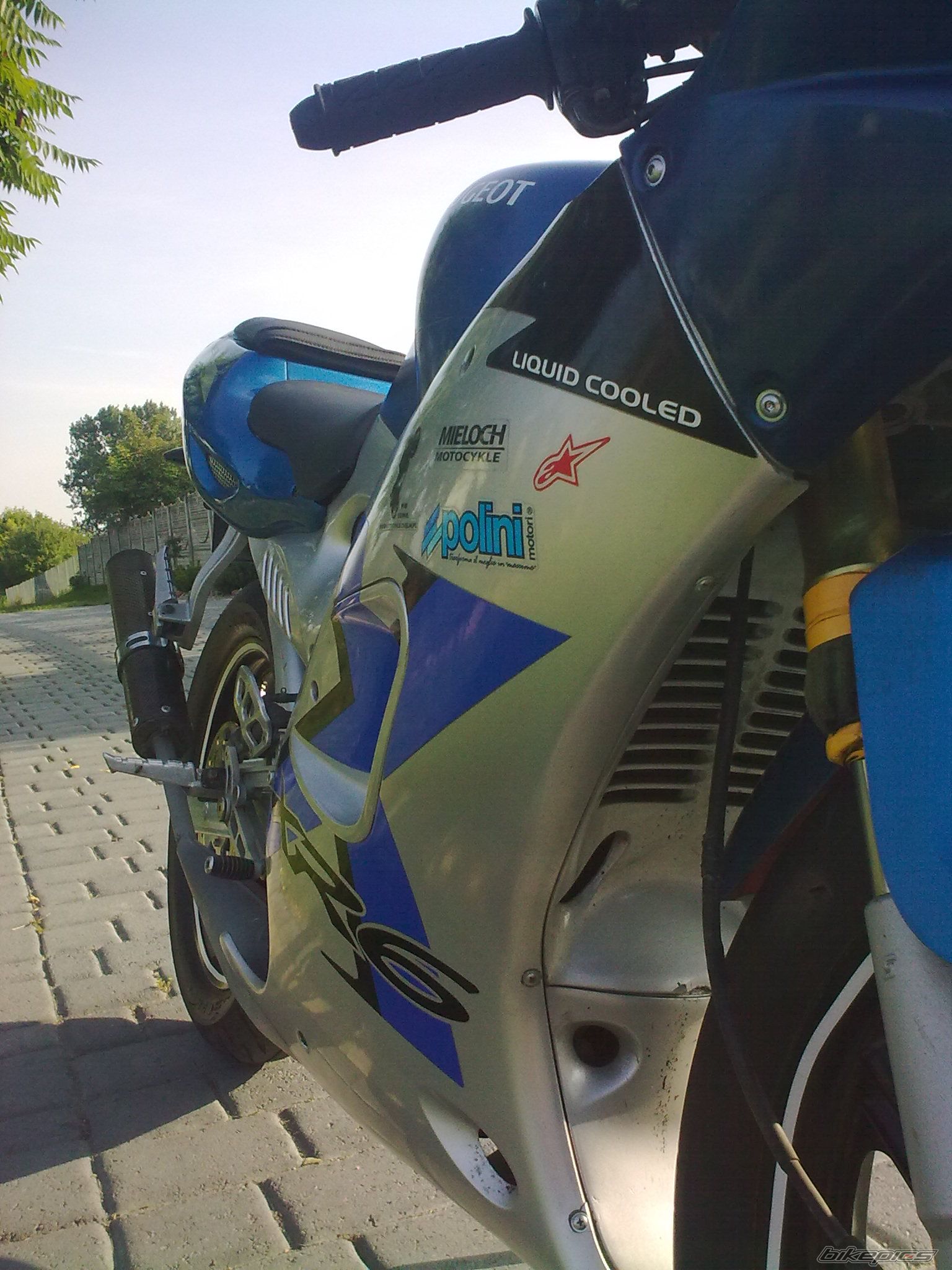 2005 PEUGEOT XR6 | Picture 2316534 motorcycle photo