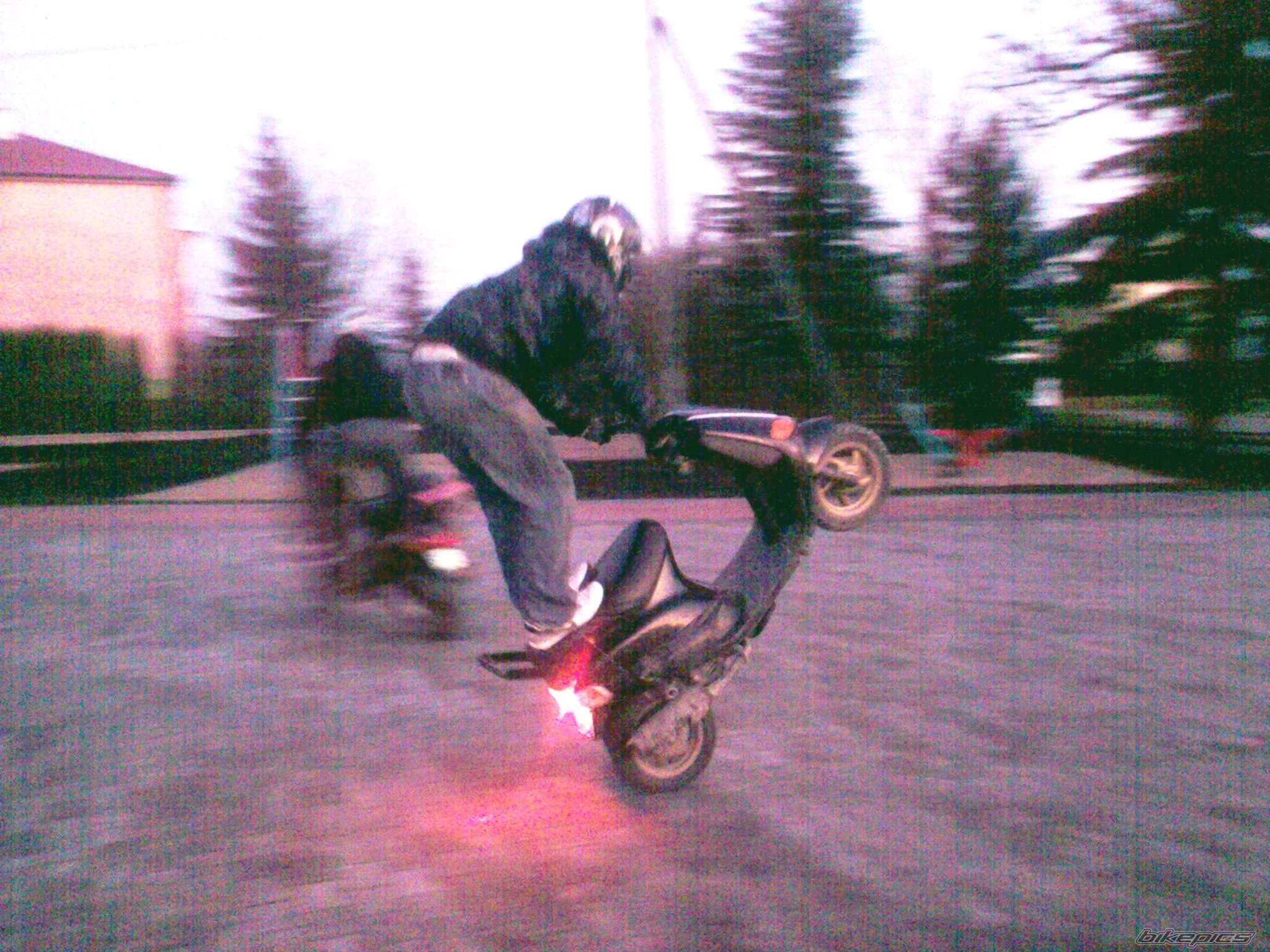 1996 PIAGGIO ZIP | Picture 2316549 motorcycle photo