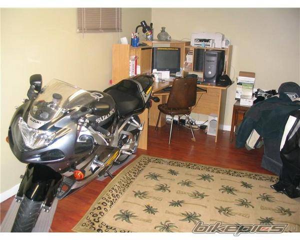 2005 SUZUKI GSX R 1000 | Picture 231700 motorcycle photo