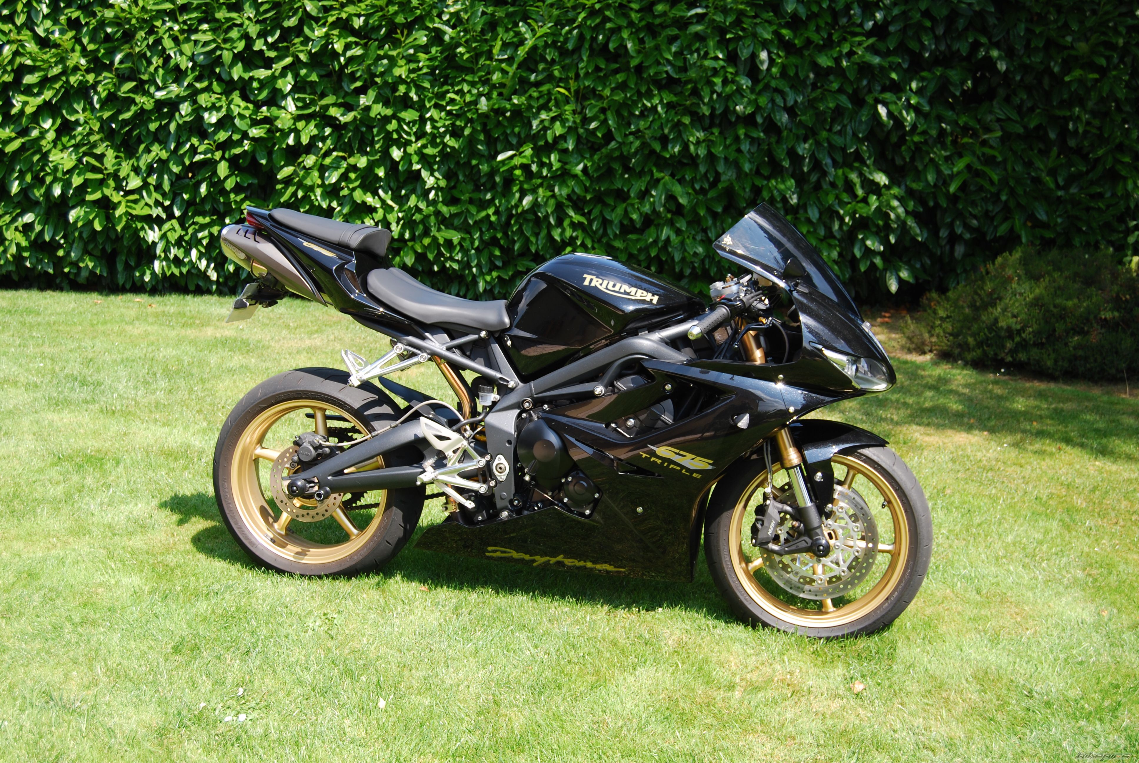 2010 TRIUMPH DAYTONA 675 | Picture 2317643 motorcycle photo