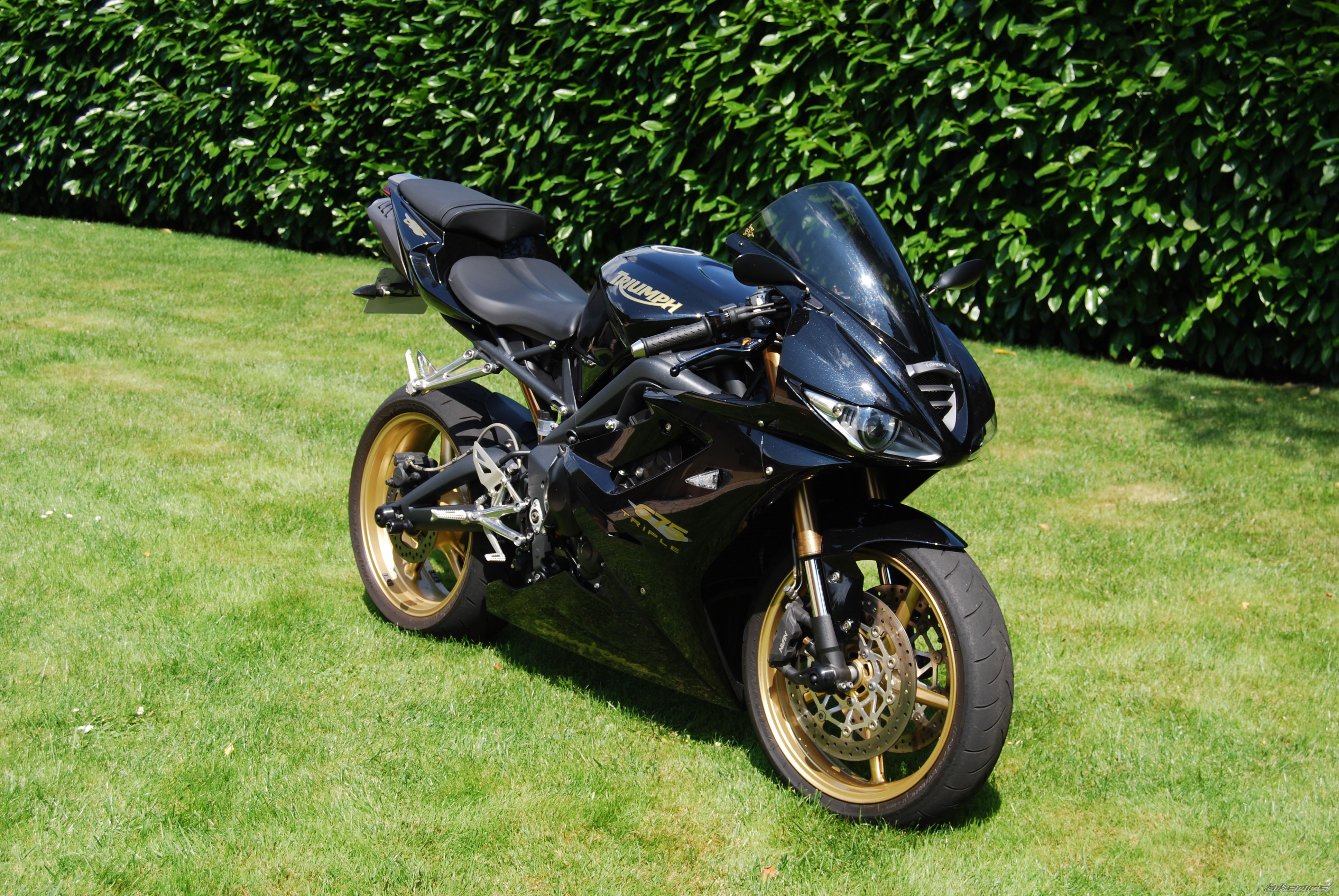 2010 TRIUMPH DAYTONA 675 | Picture 2317657 motorcycle photo