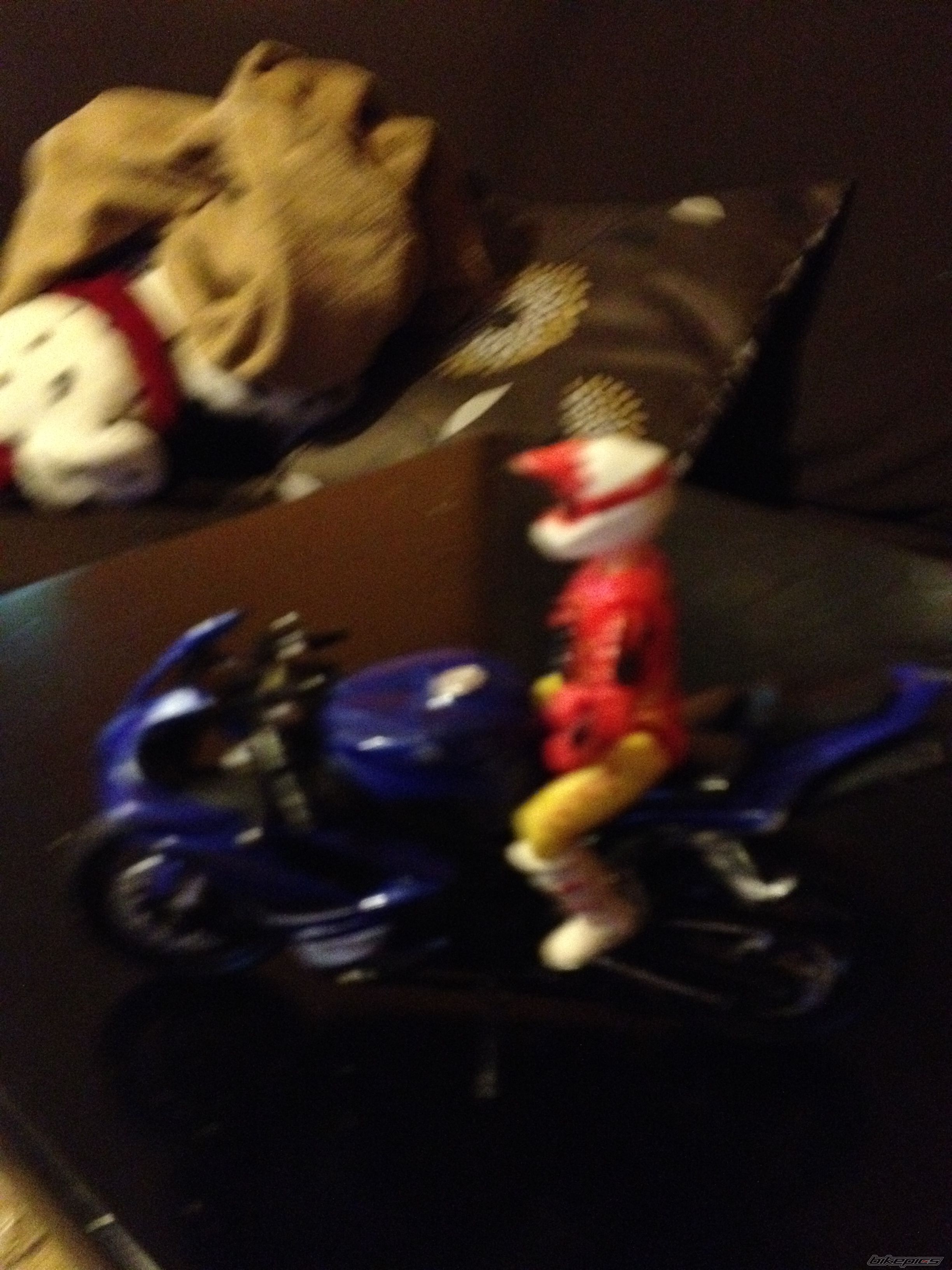 2009 YAMAHA YZF R1 | Picture 2318047 motorcycle photo