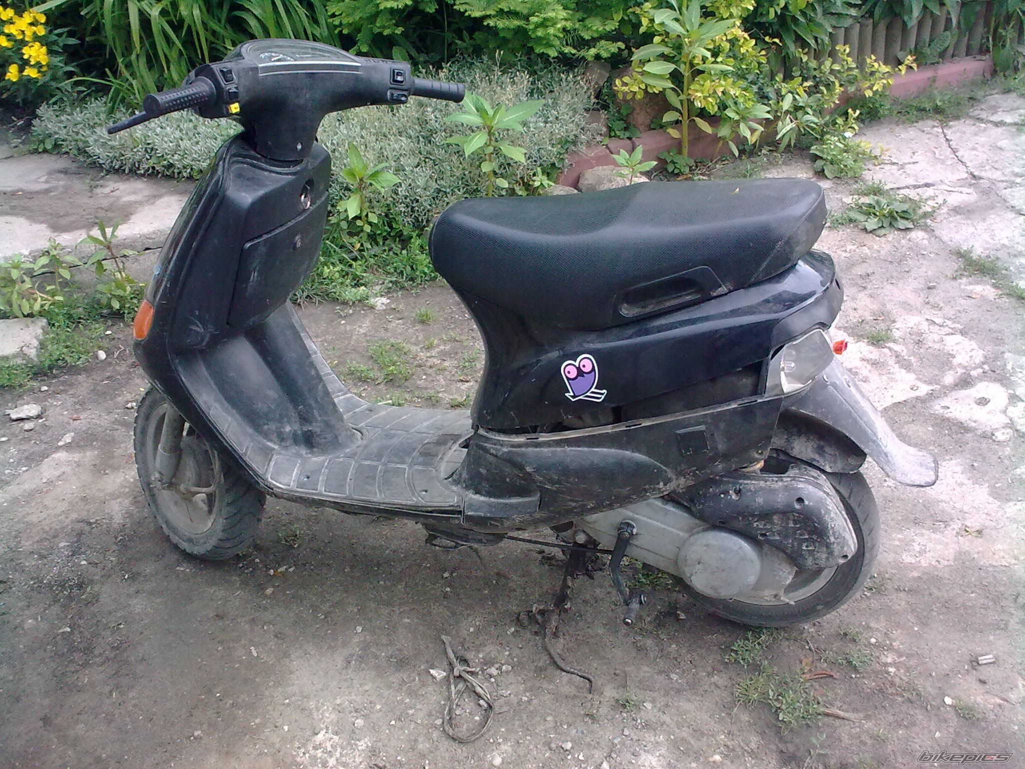 1996 PIAGGIO ZIP | Picture 2318061 motorcycle photo