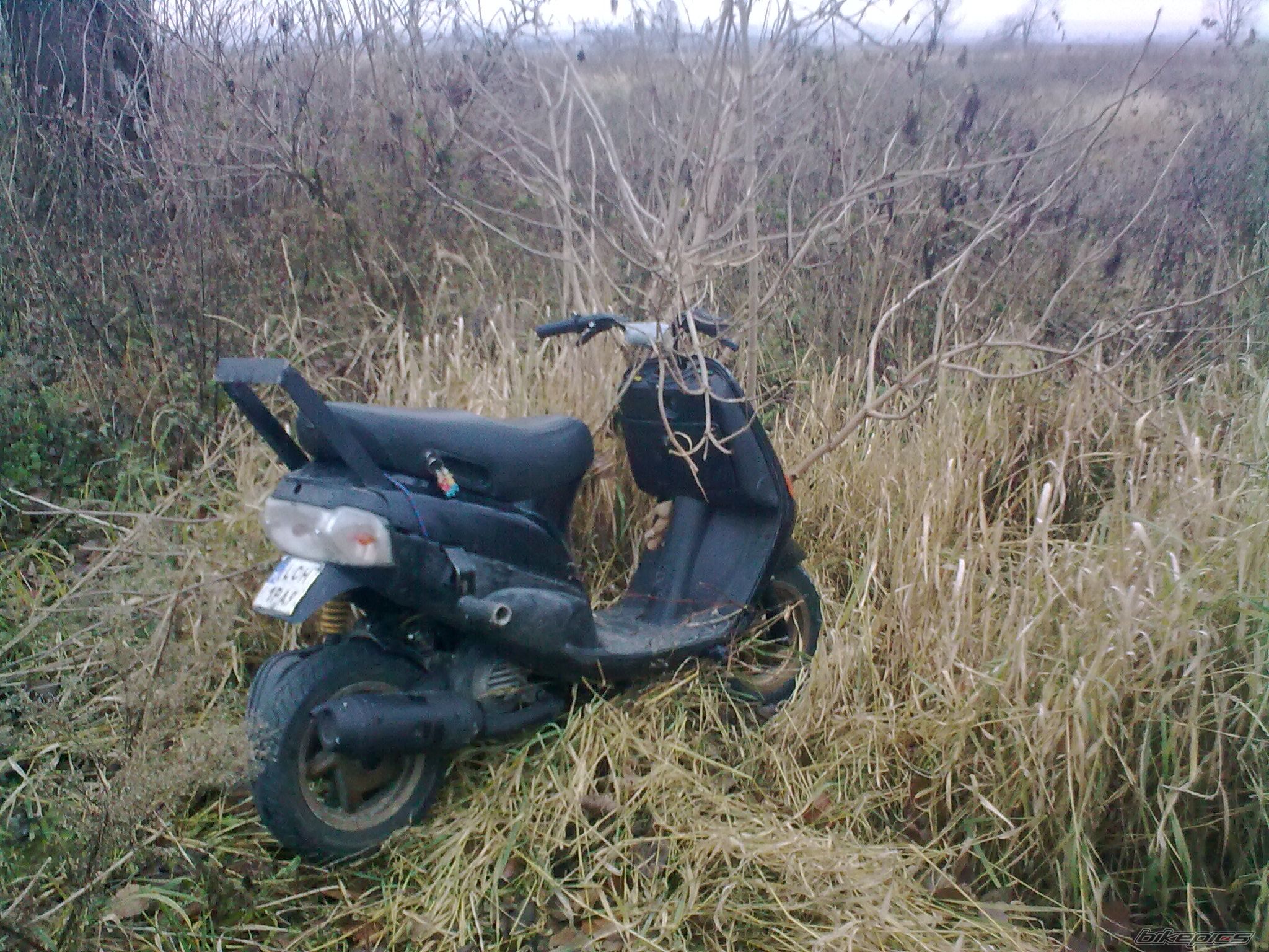 1996 PIAGGIO ZIP | Picture 2318082 motorcycle photo