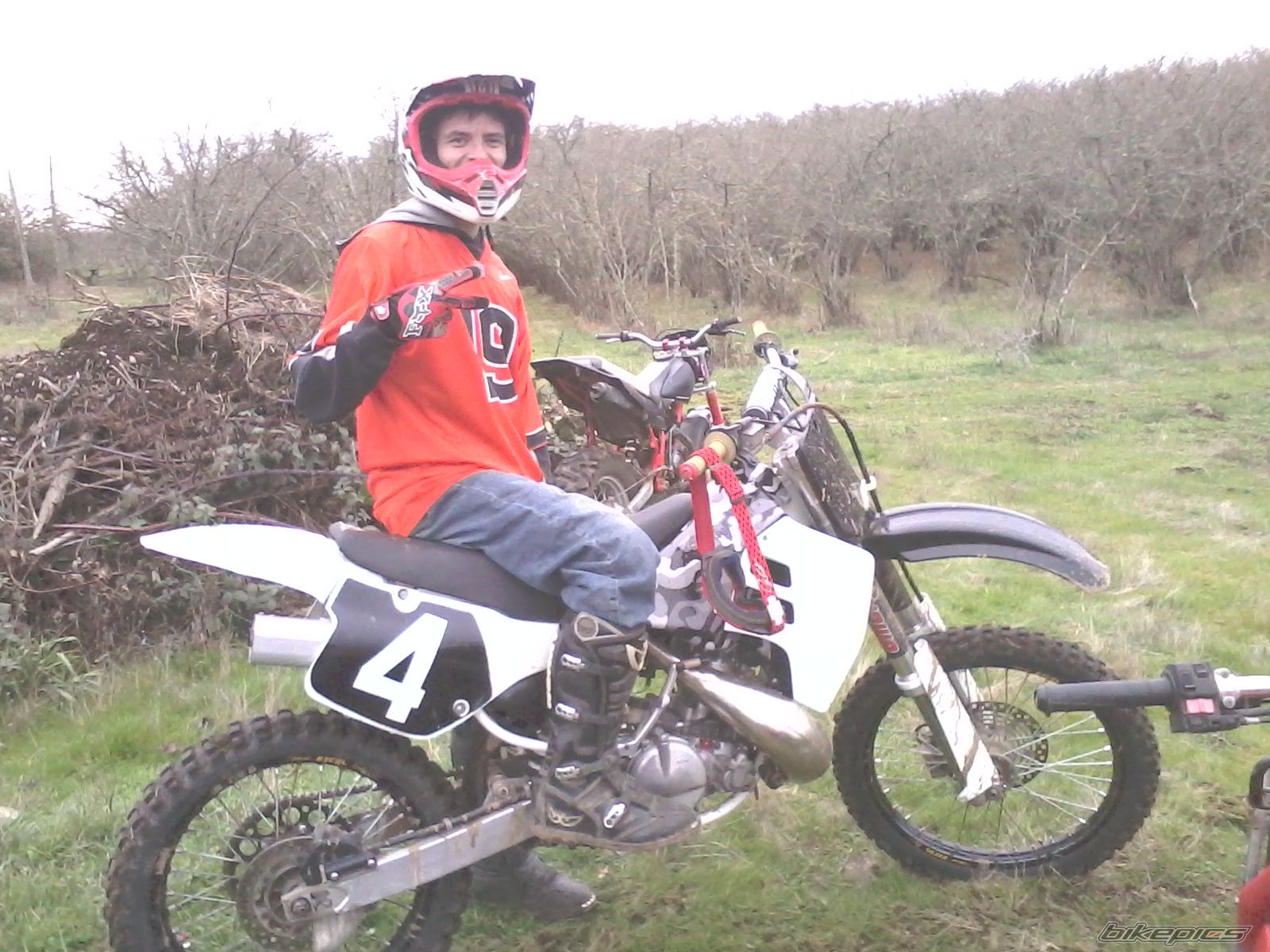 1991 SUZUKI RM 250 | Picture 2318299 motorcycle photo