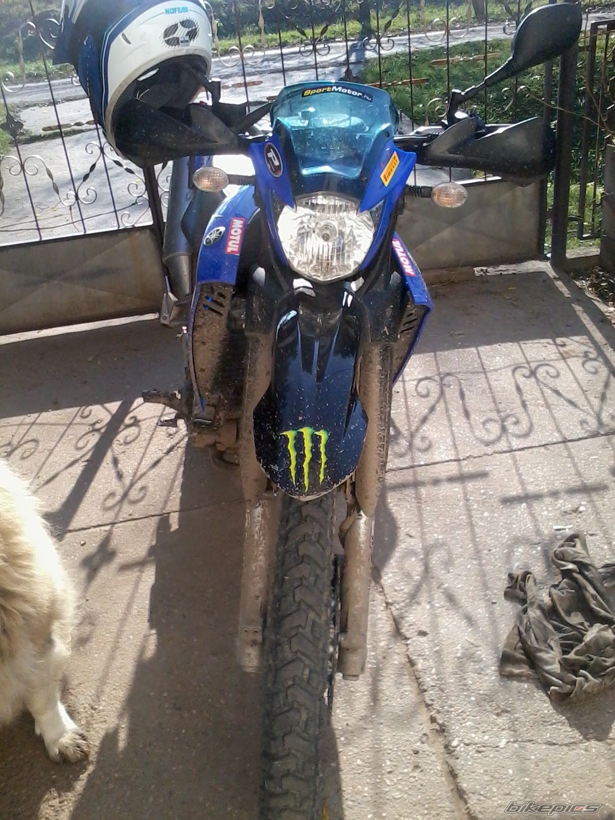2009 YAMAHA XT 660 | Picture 2318502 motorcycle photo