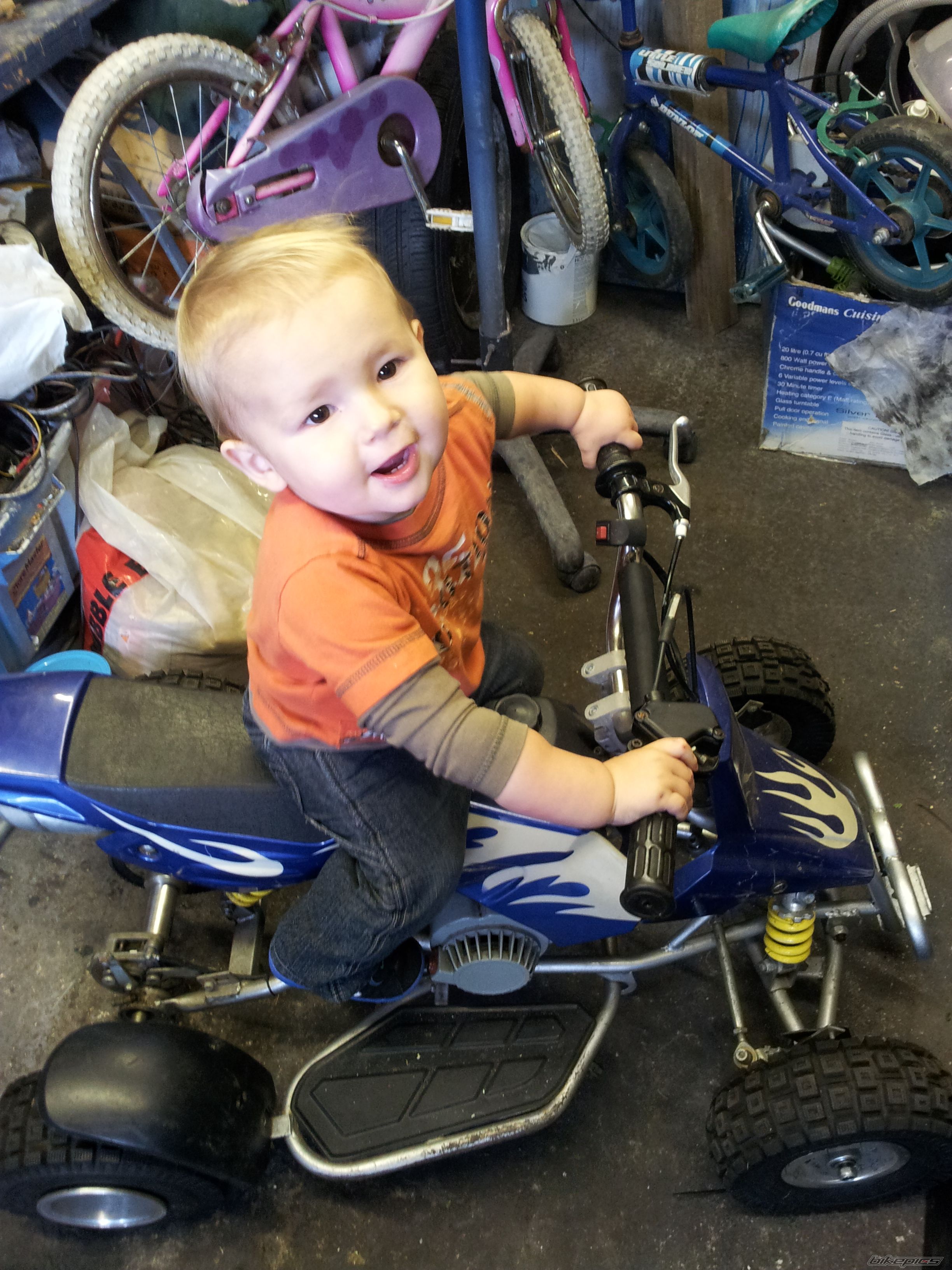    | Picture 2318785 motorcycle photo
