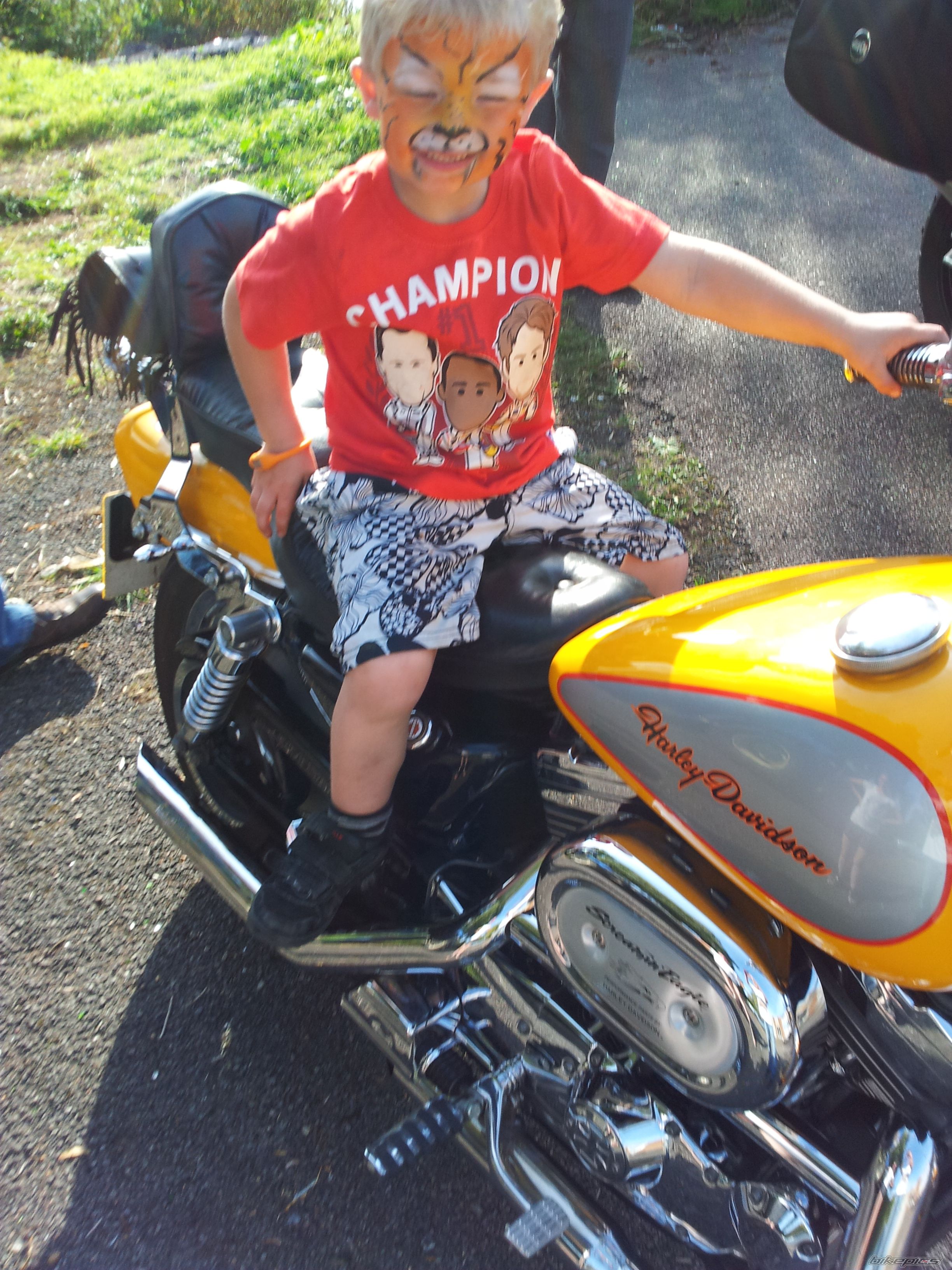    | Picture 2318802 motorcycle photo