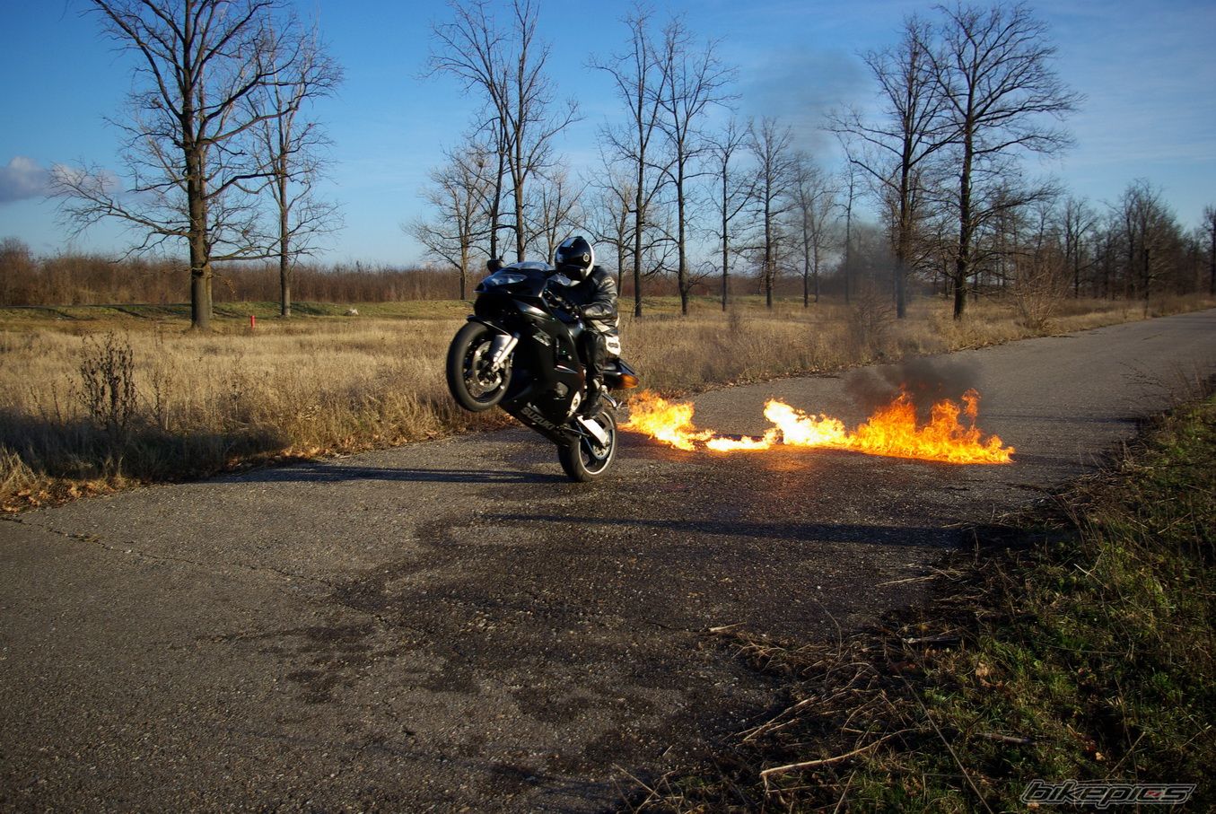 2001 SUZUKI GSX R 600 | Picture 2318960 motorcycle photo