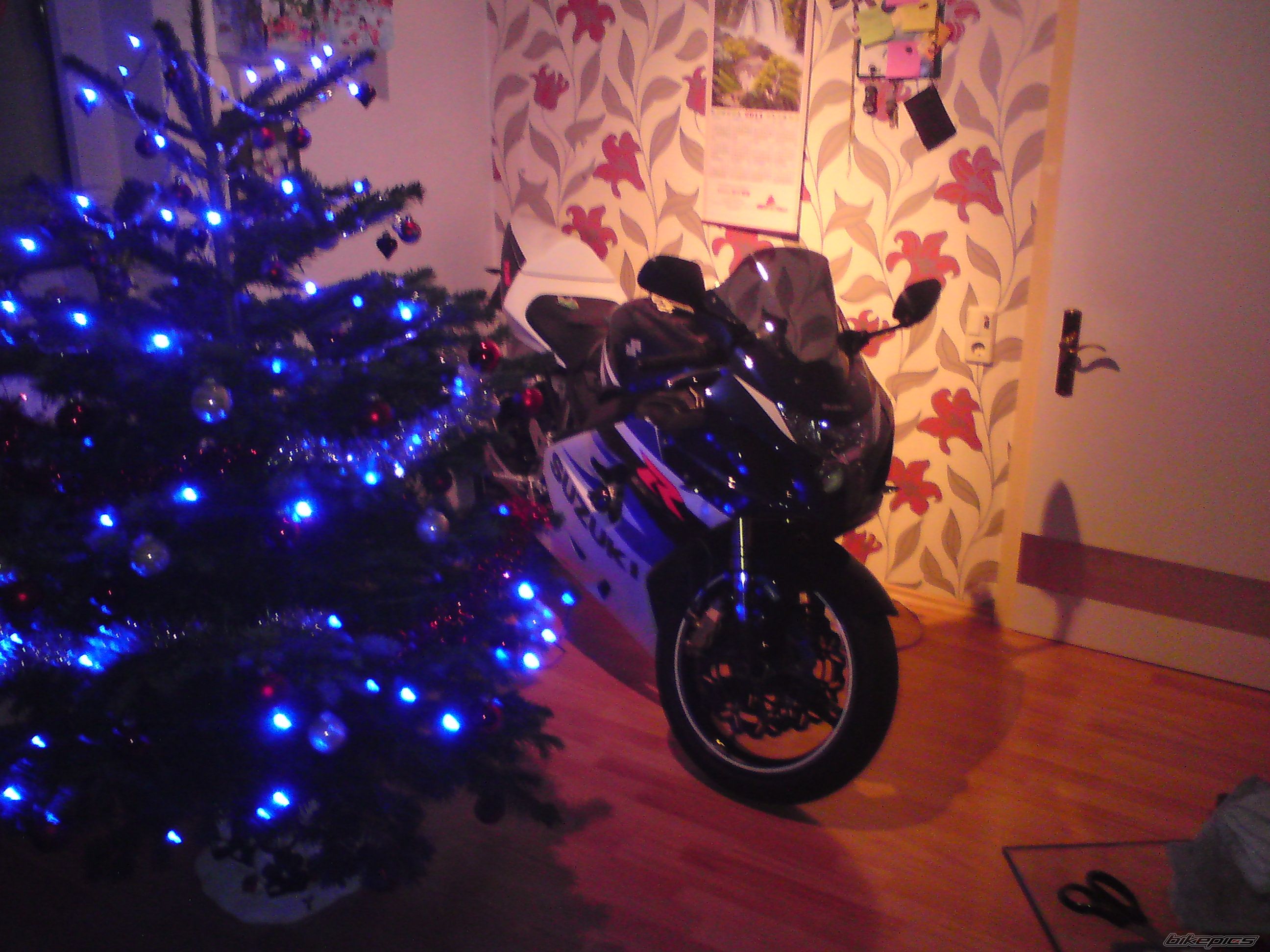 2004 SUZUKI GSX R 750 | Picture 2318983 motorcycle photo