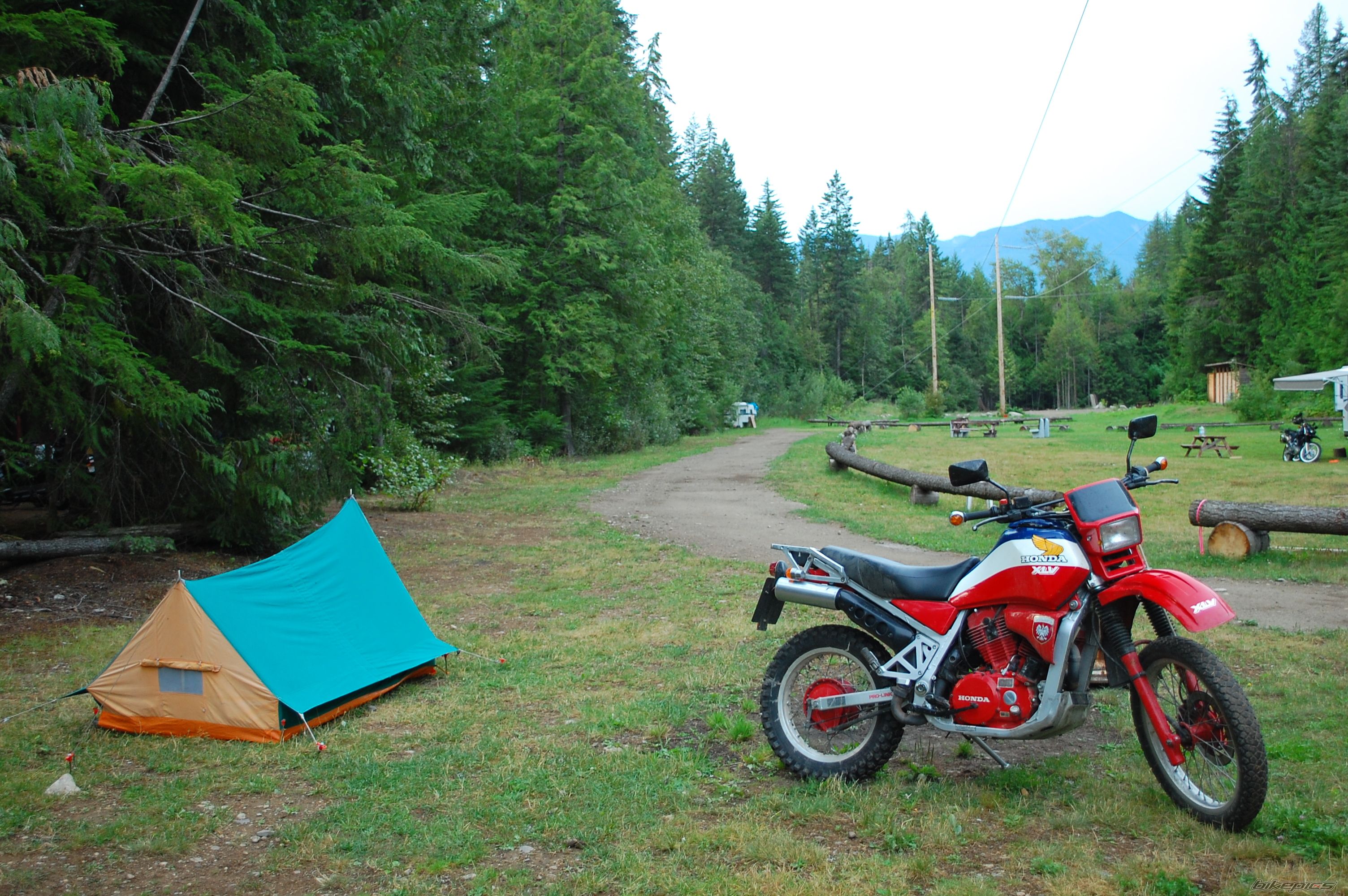 1985 HONDA XLV 750 | Picture 2320678 motorcycle photo